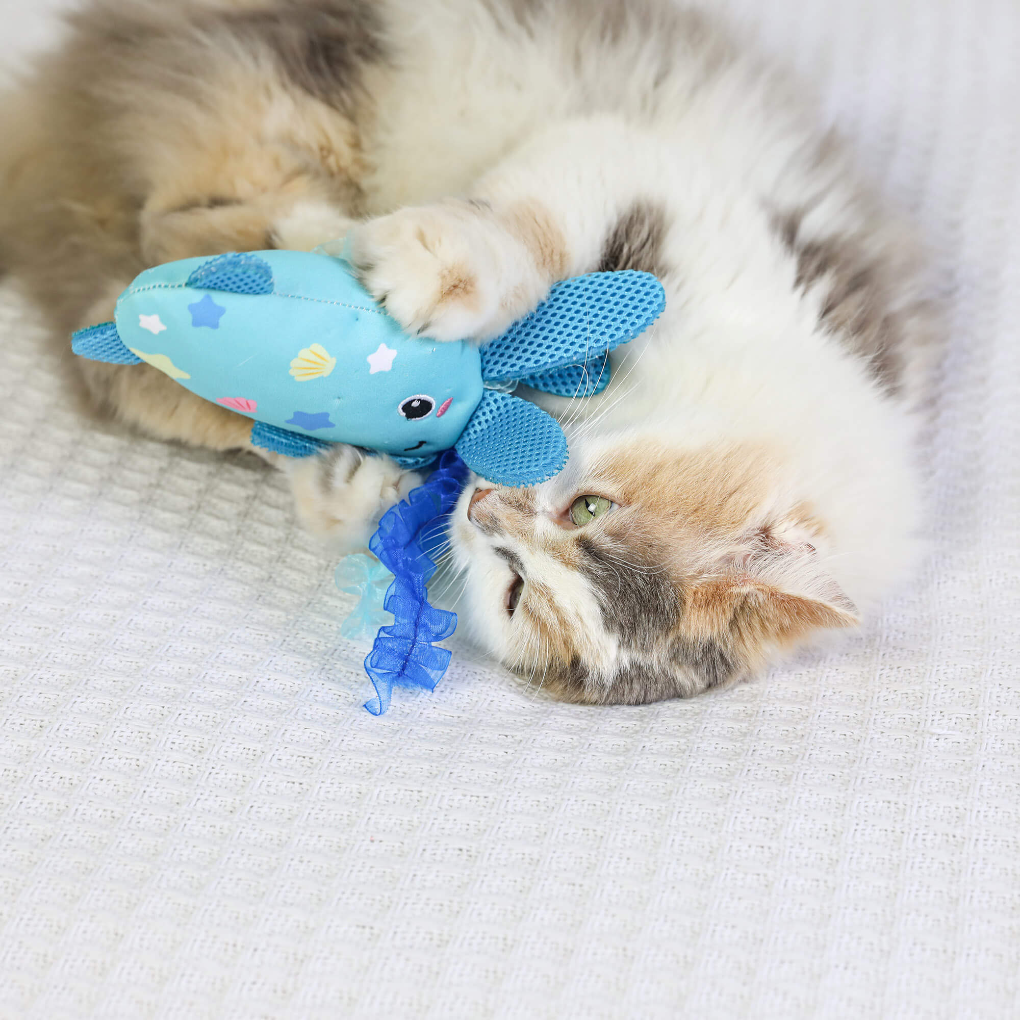 Calico cat lying on its side pawing the Octopurr Kicker with ribbon tentacles near its face