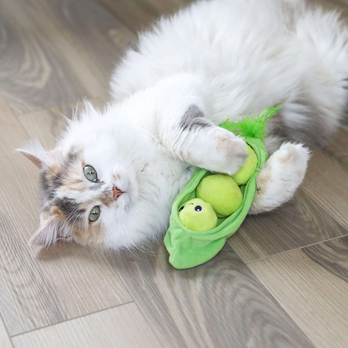 Fluffy calico cat on a wood floor hugging the green Pea Pawd Kicker pea pod toy