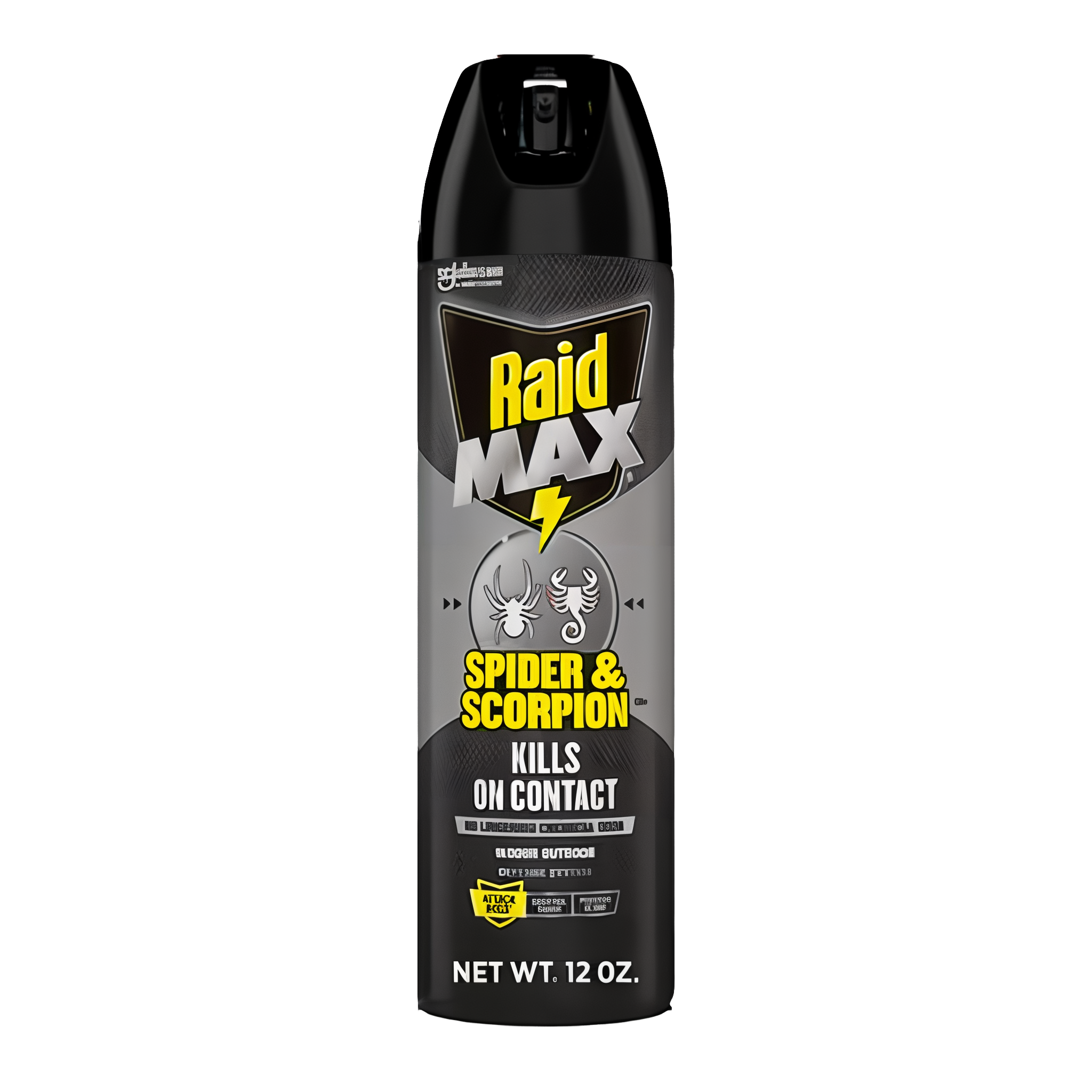 Raid Max Indoor & Outdoor Spider & Scorpion Killer Bug Spray
