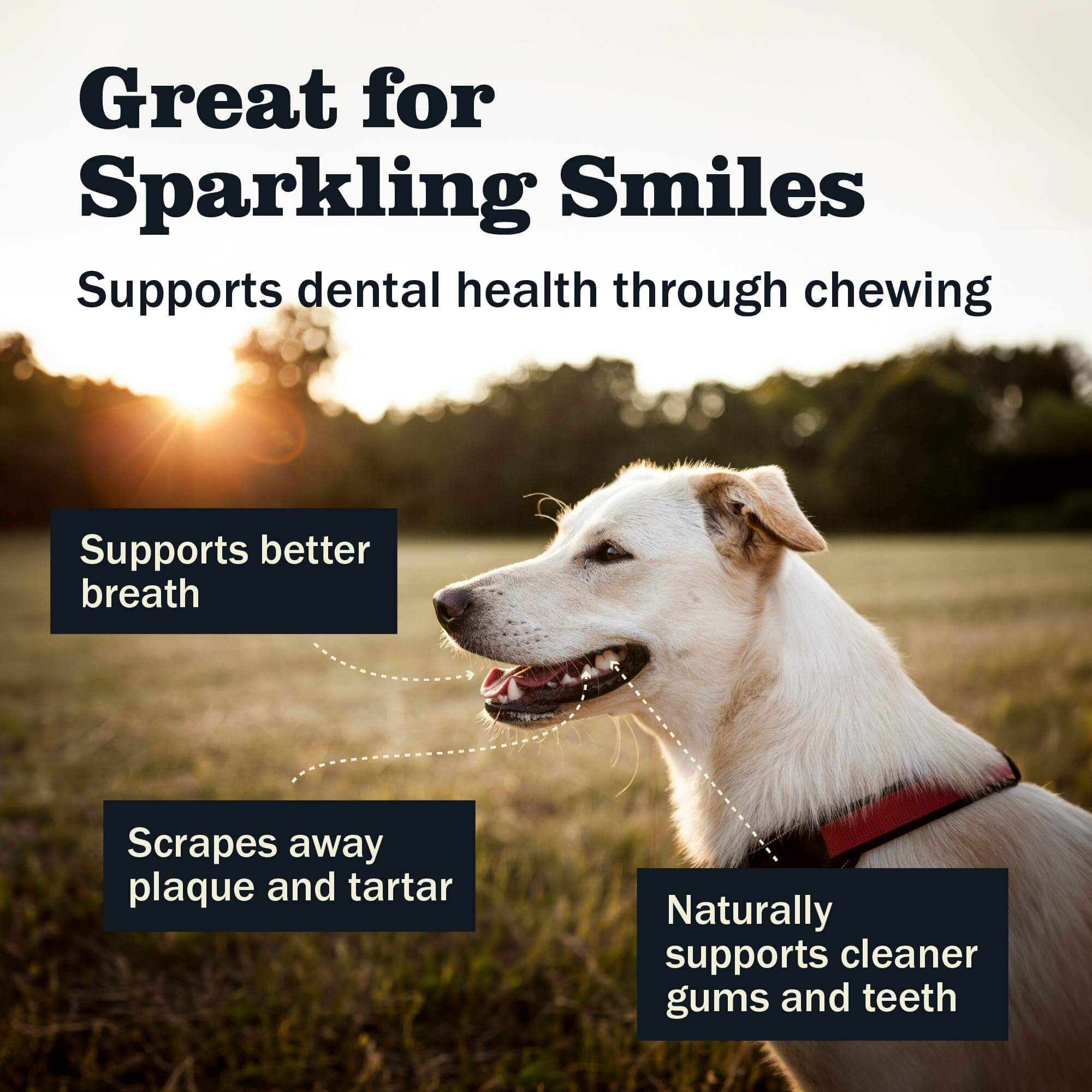 Redbarn Bargain Bag dental health benefits