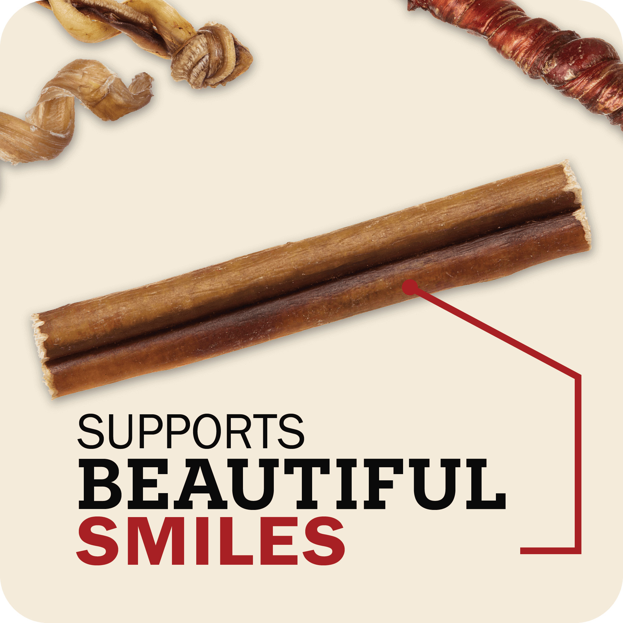 Redbarn Braided Bully Stick bully collection feature panel