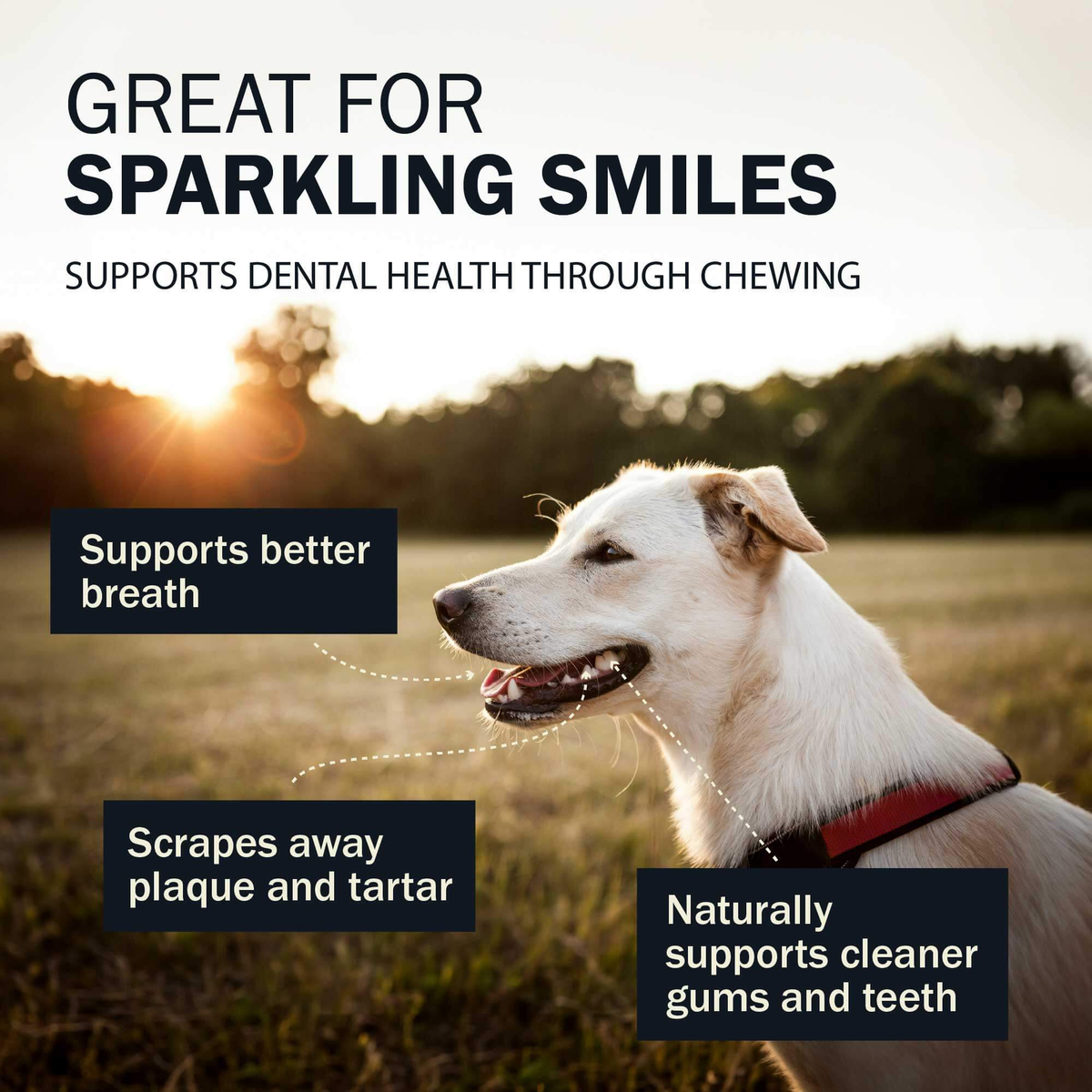 Redbarn Collagen Wrapped Esophagus Stick -- great for sparkling smiles