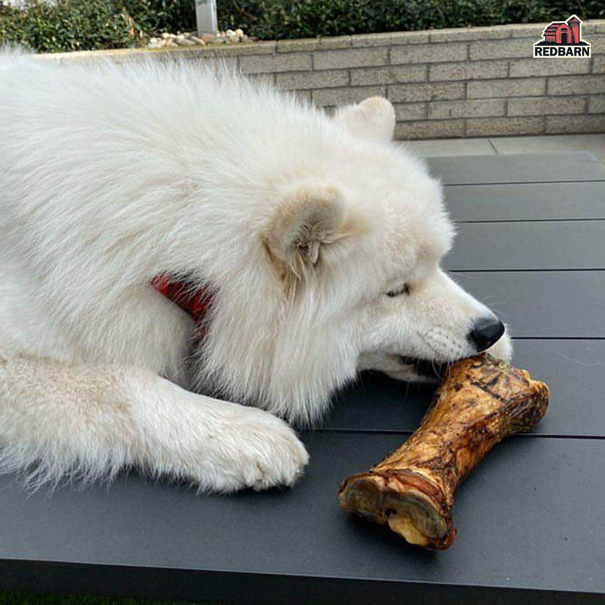 Redbarn Meaty Bone -- meaty bone