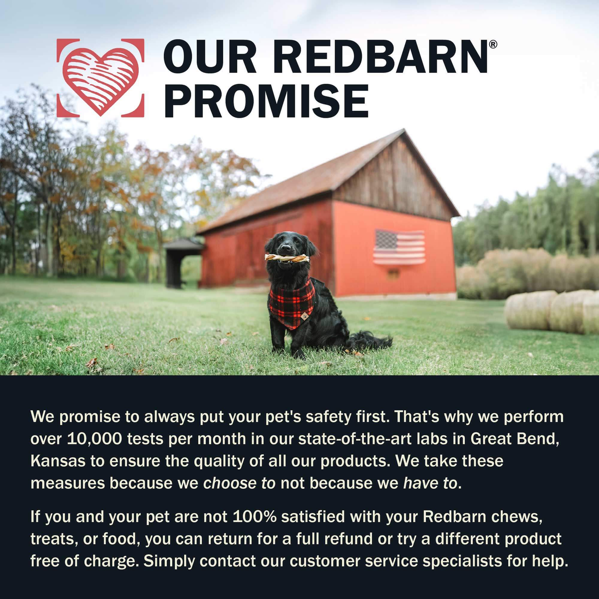 Redbarn Odor-Free Bully Stick -- our redbarn promise