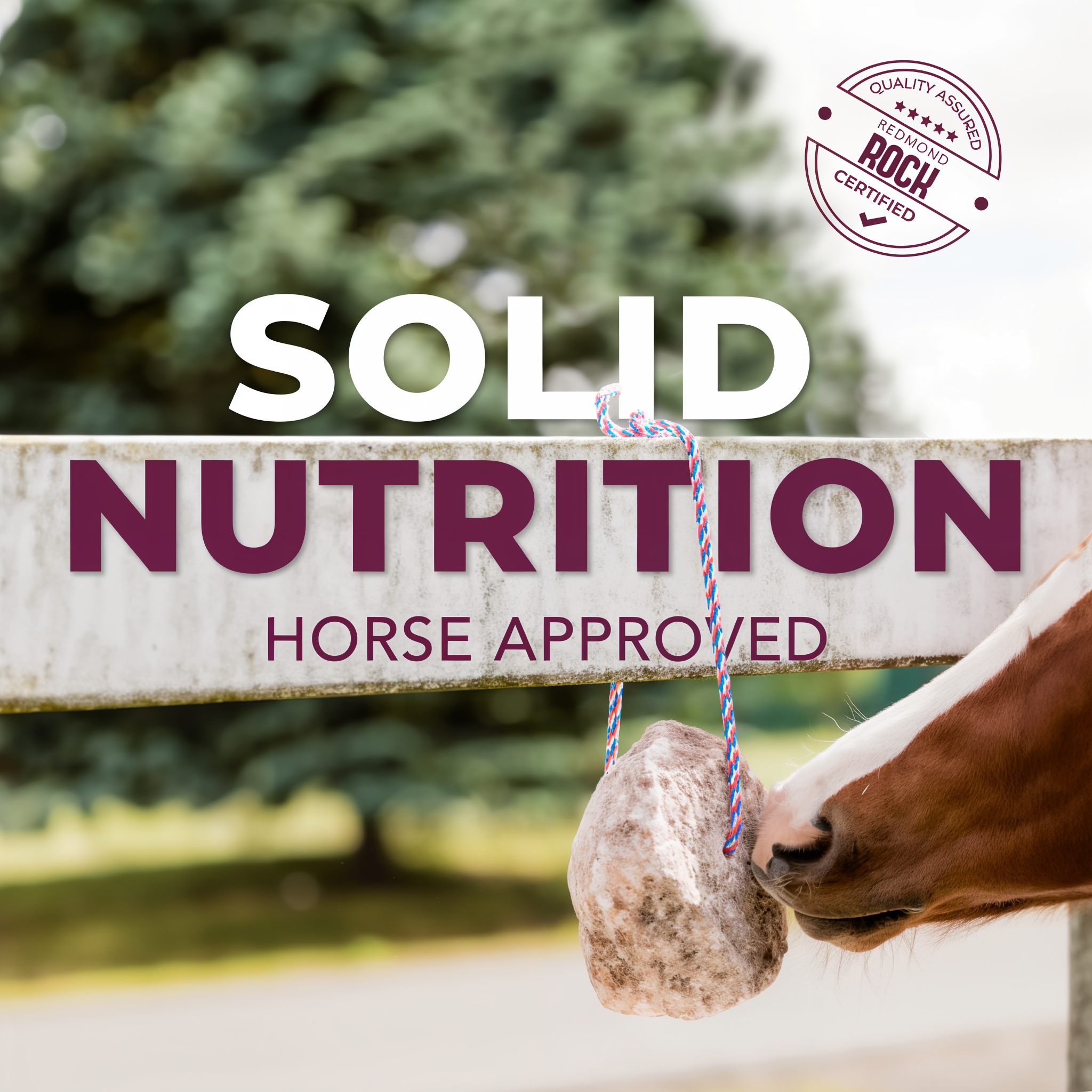 Boredom buster — our rocks love hanging out with your horse