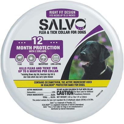 Salvo Flea and Tick Prevention Collar for Small Dogs