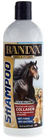 Sherborne Banixx Shampoo with Collagen