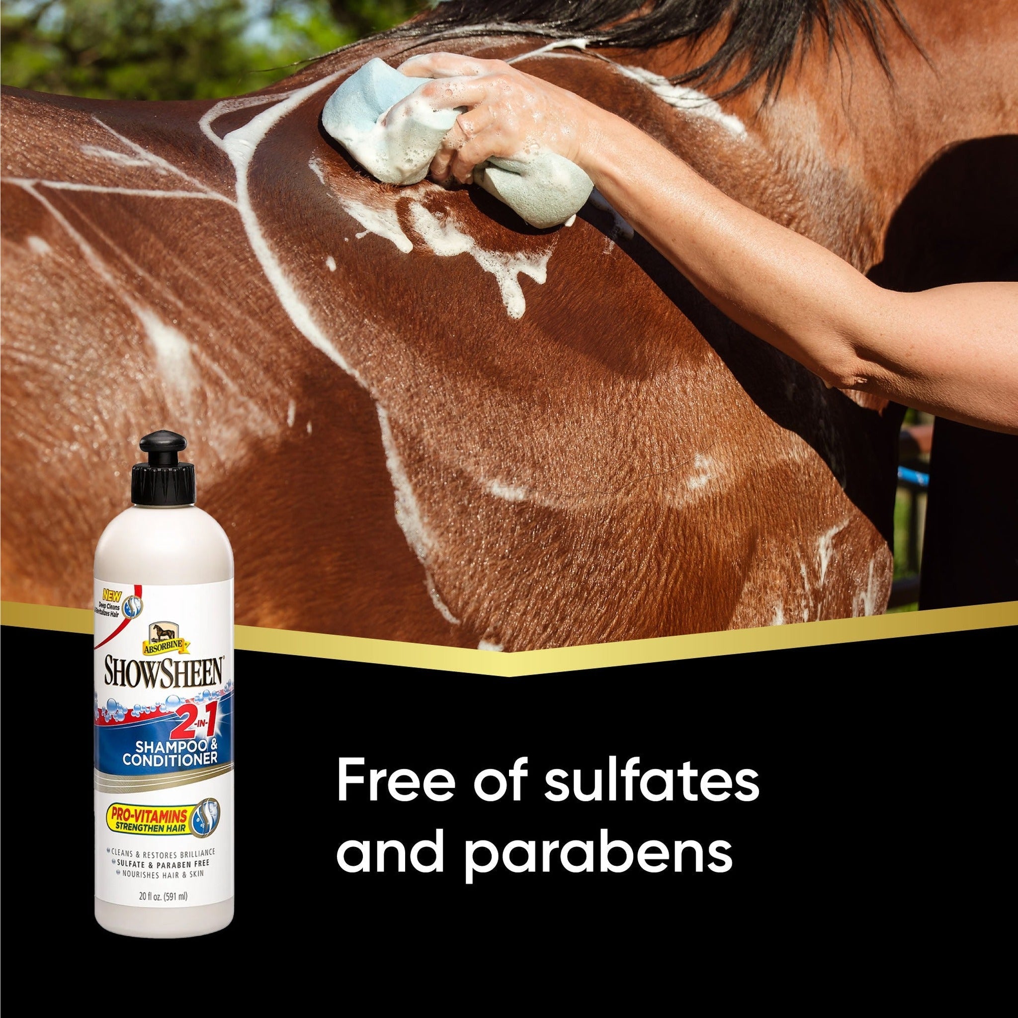 ShowSheen 2-in-1 shampoo and conditioner, free of sulfates and parabens