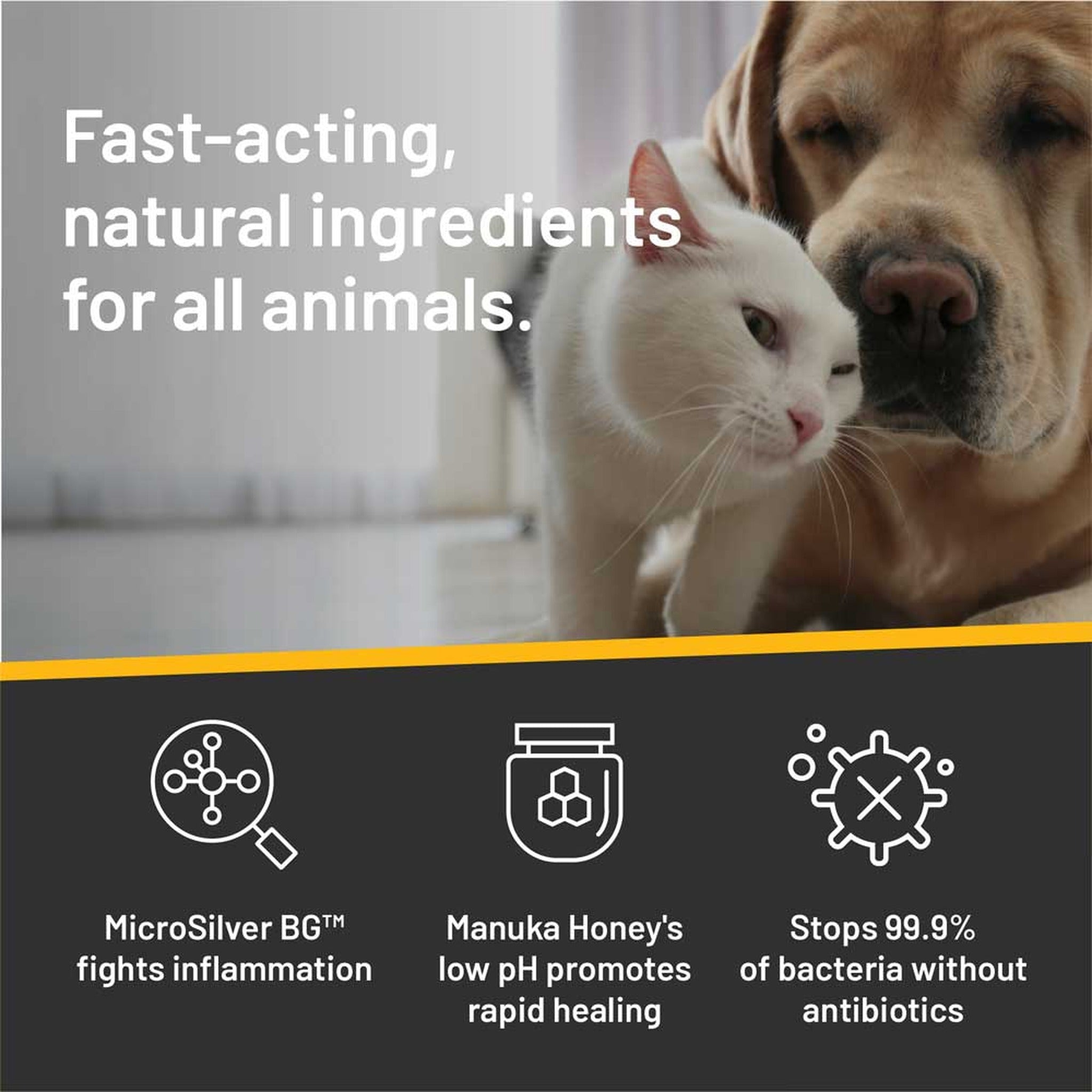 Silver Honey vet strength pet ear wipes, fast-acting natural ingredients for all animals