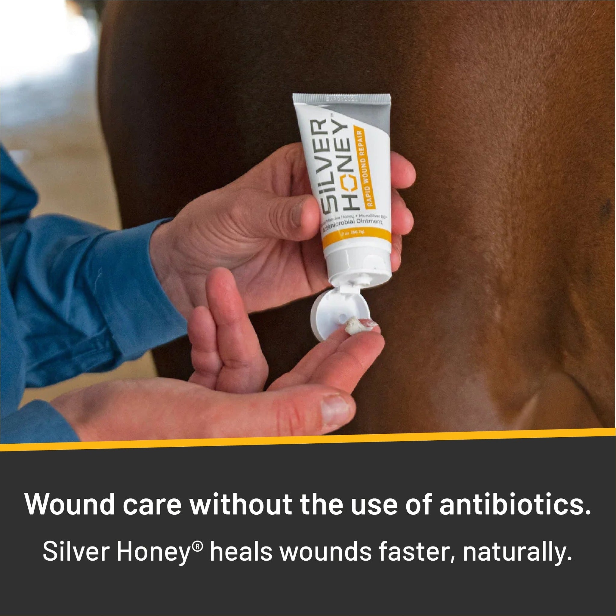 Silver Honey rapid wound repair ointment, applied to a horse wound