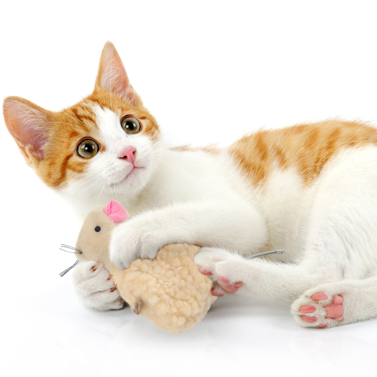 Orange and white kitten hugging the SmartyKat Madcap Mania plush mouse toy