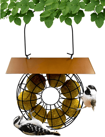 Songbird Essentials Suet Feeder for Suet Balls
