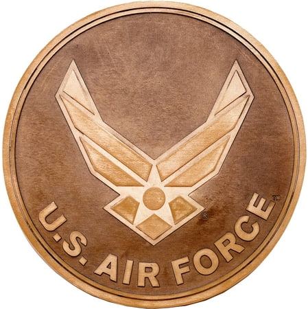Air Force Bronze Step Stone / Decorative Wall Plaque