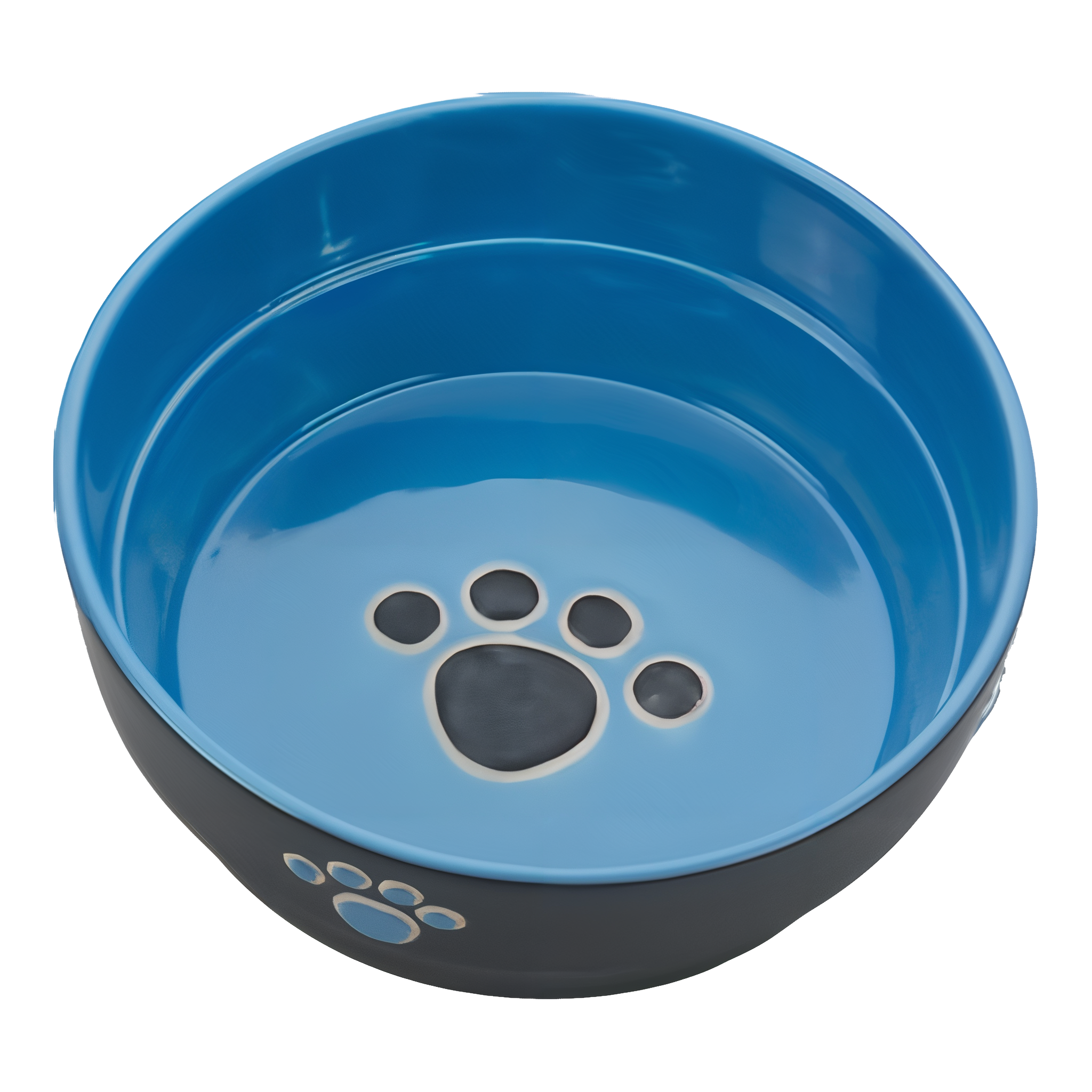Spot Fresco Stoneware Dog Dish 7 in Blue