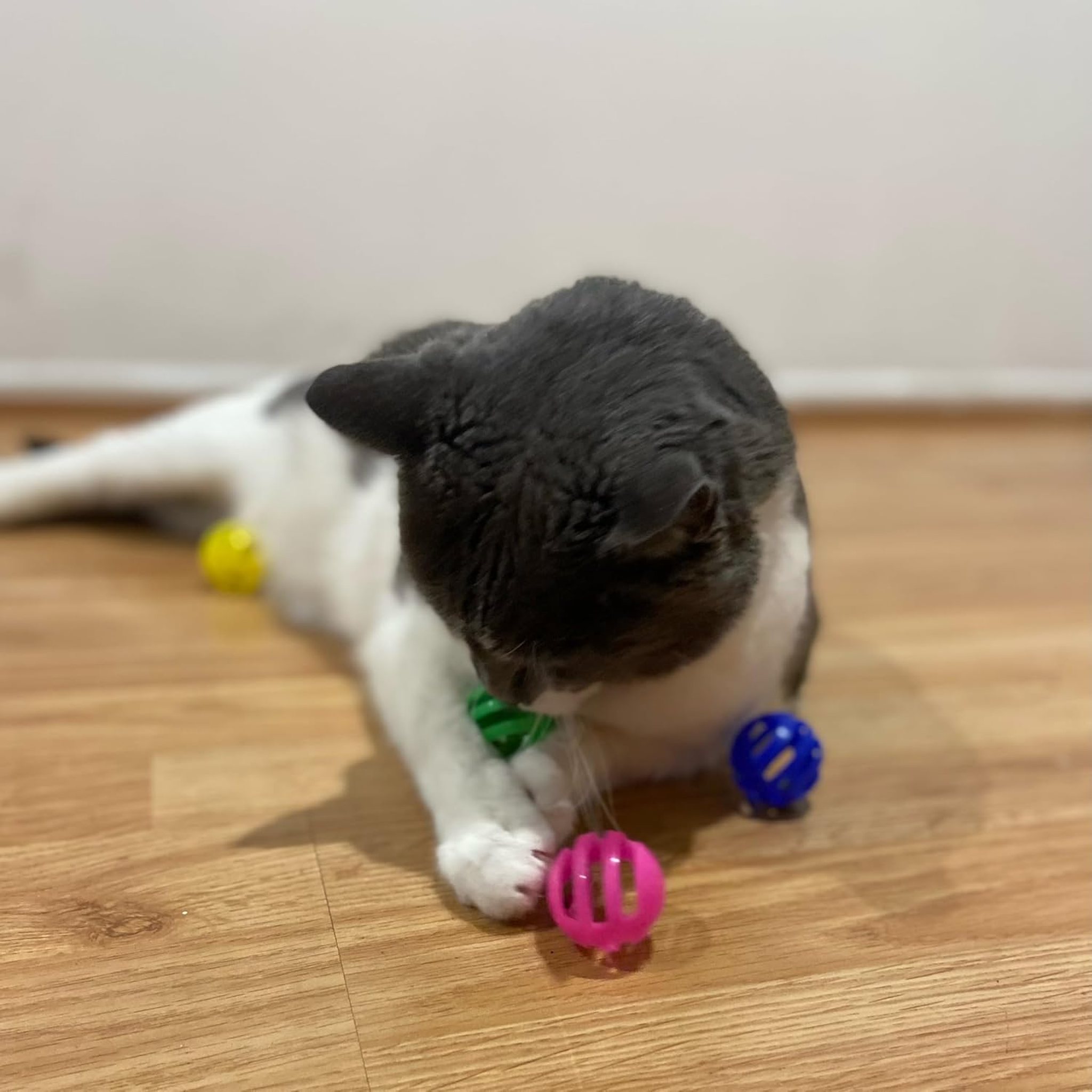 Spot Slotted Balls Cat Toy