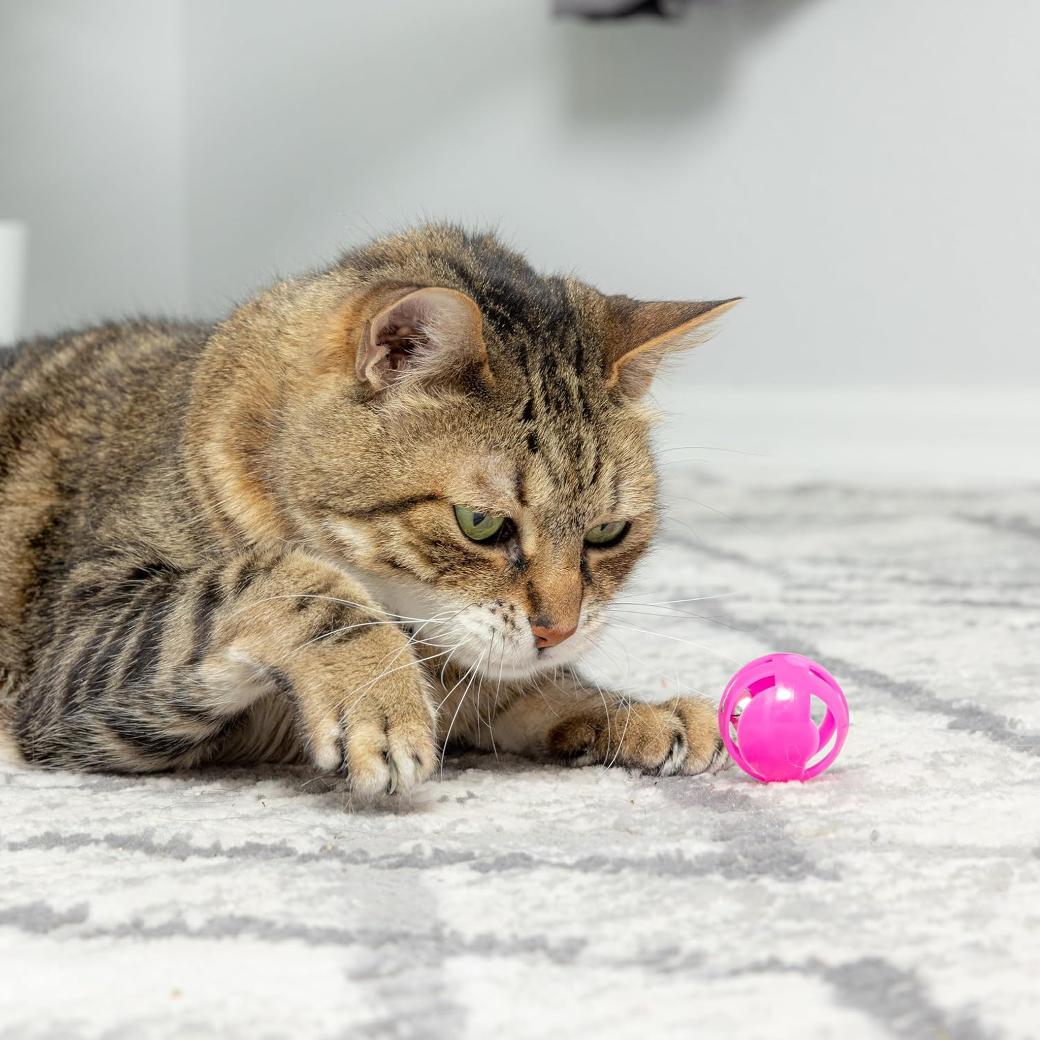 Spot Slotted Balls Cat Toy