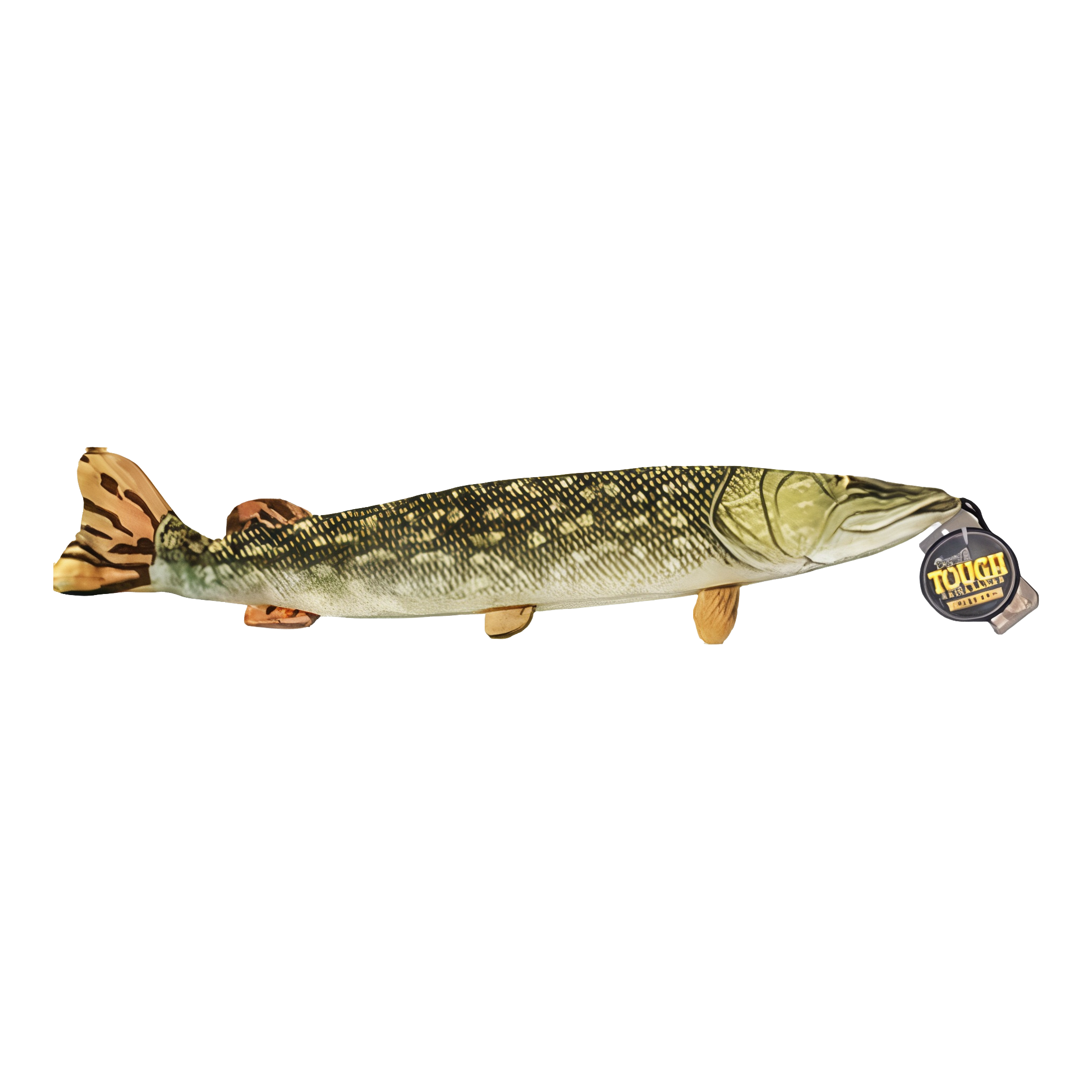 Steel Dog Northern Fish with Rope