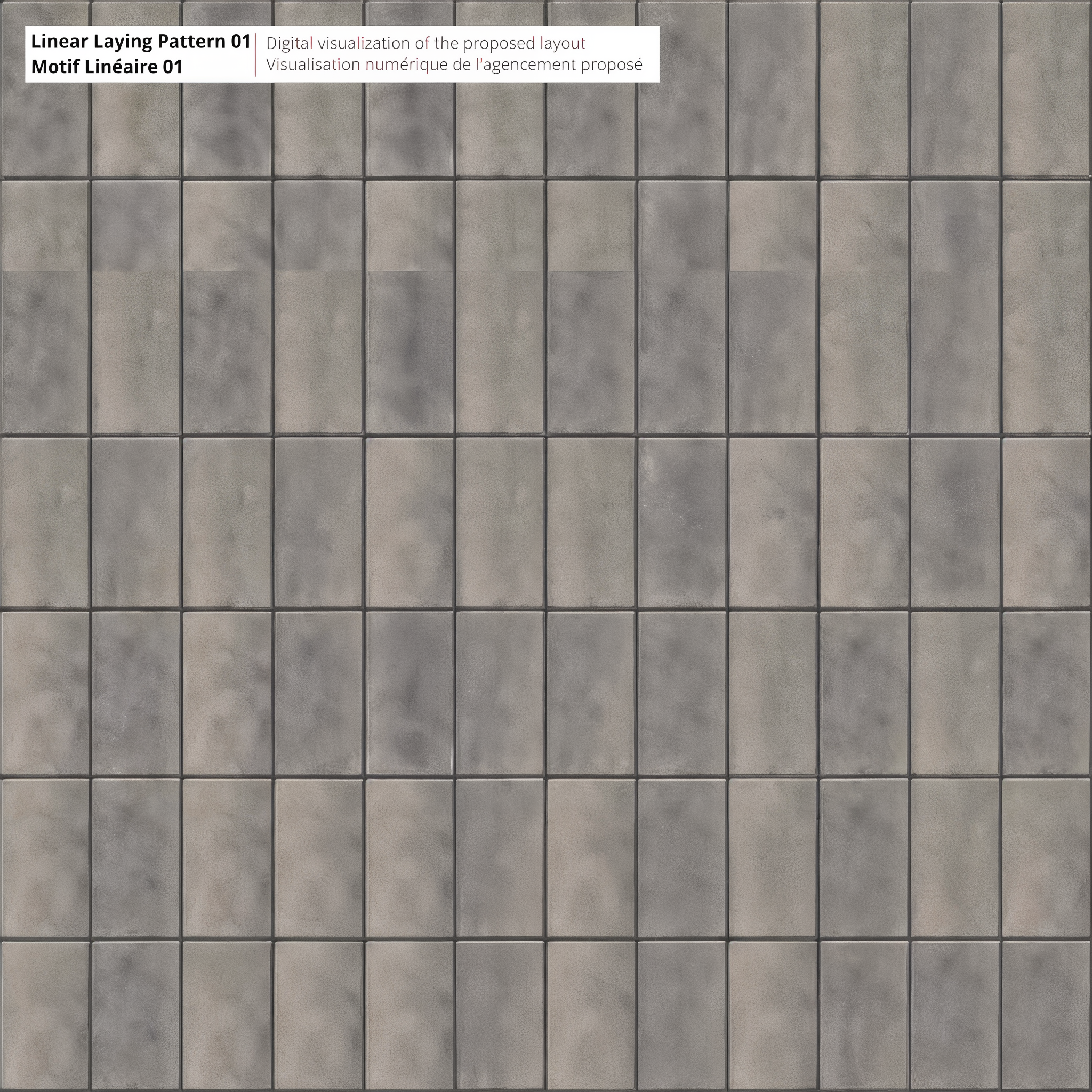 Blu 80 Smooth Shale Grey Pavers in Linear Laying Pattern 01