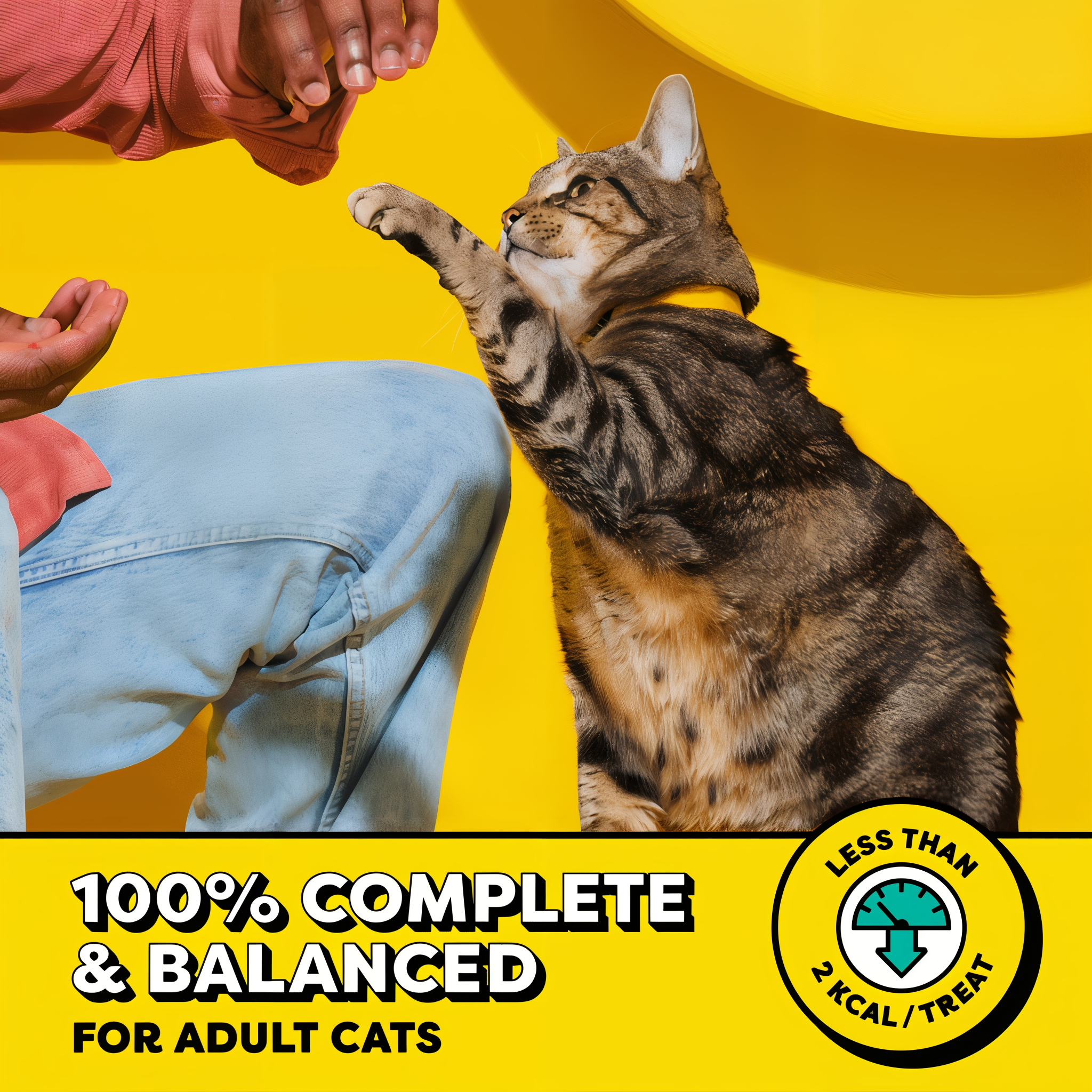 Temptations Classic Tantalizing Turkey Flavor Crunchy and Soft Cat Treats product detail 2