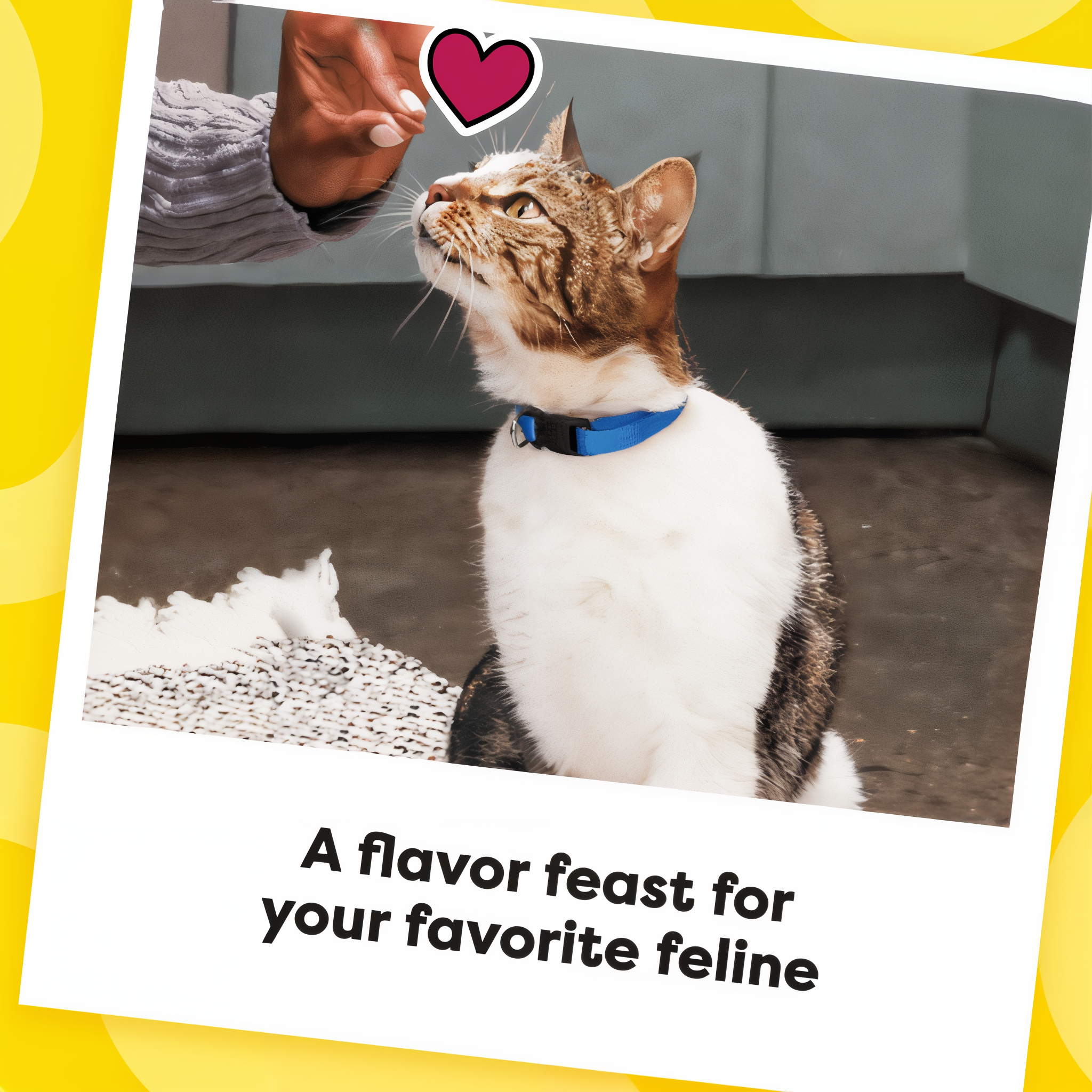 Temptations MixUps Surfer's Delight Crunchy and Soft Cat Treats cat enjoying treats