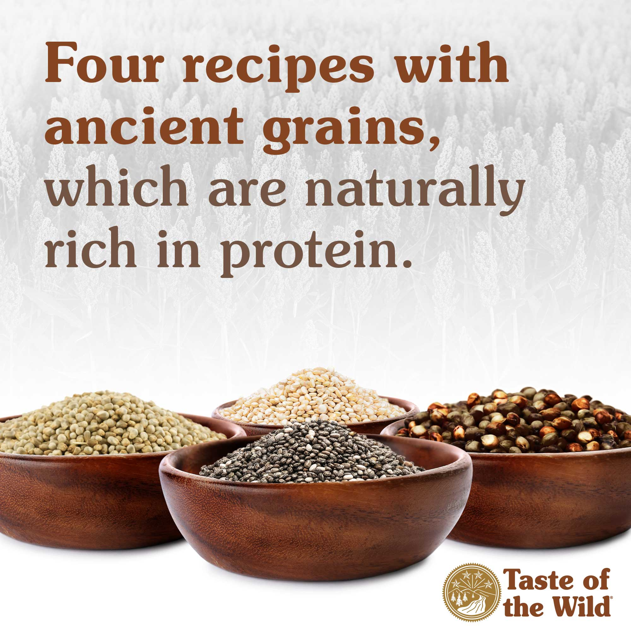 Wooden bowls of ancient grains including sorghum, quinoa, chia seed and millet, naturally rich in protein