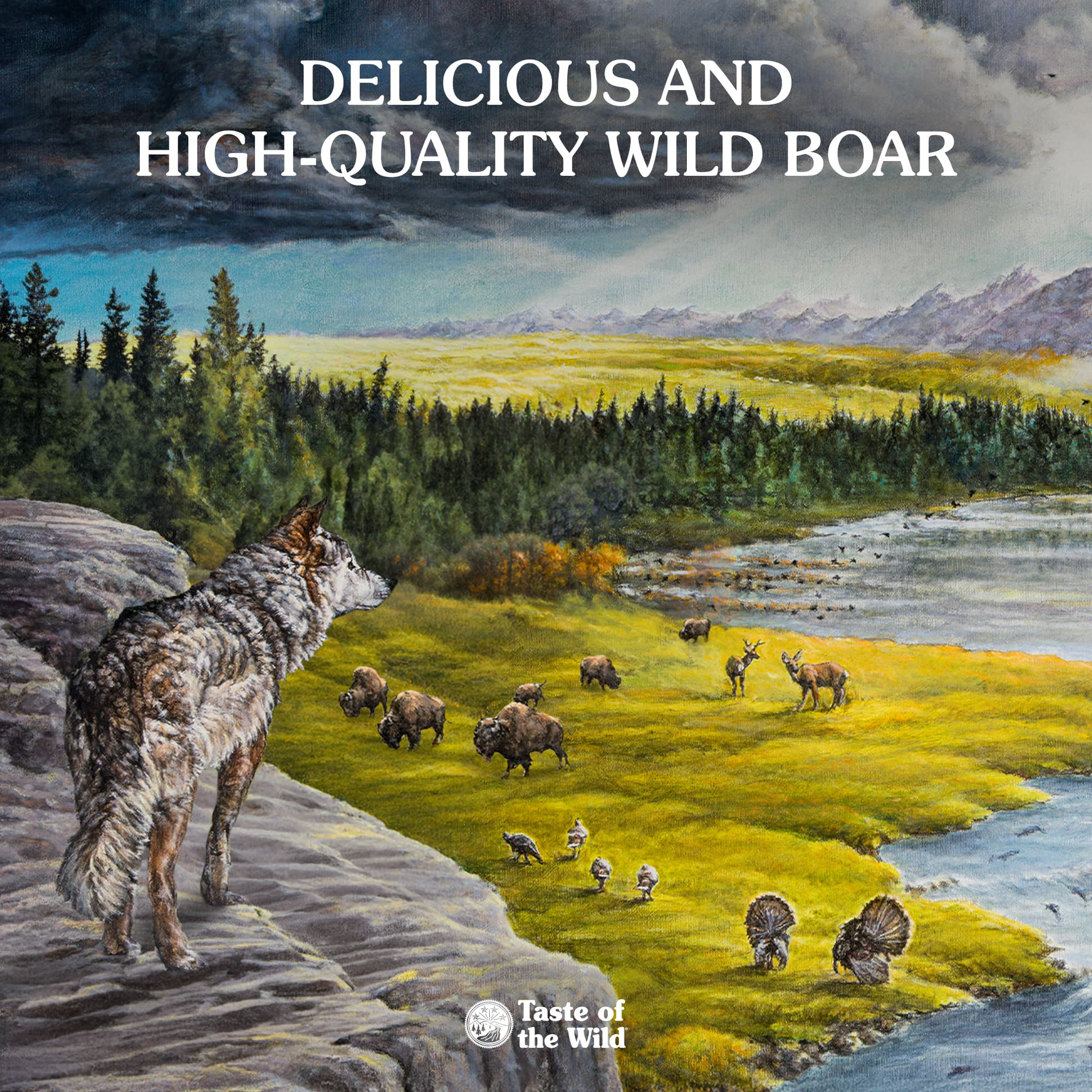 Painted wilderness artwork celebrating delicious, high-quality wild boar