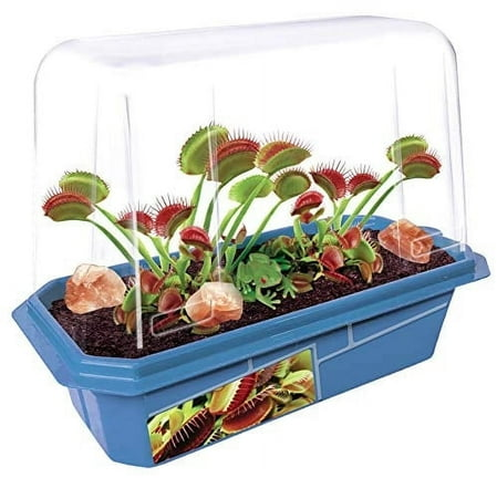 Toys By Nature Grow Your Own Frightening Venus Flytraps