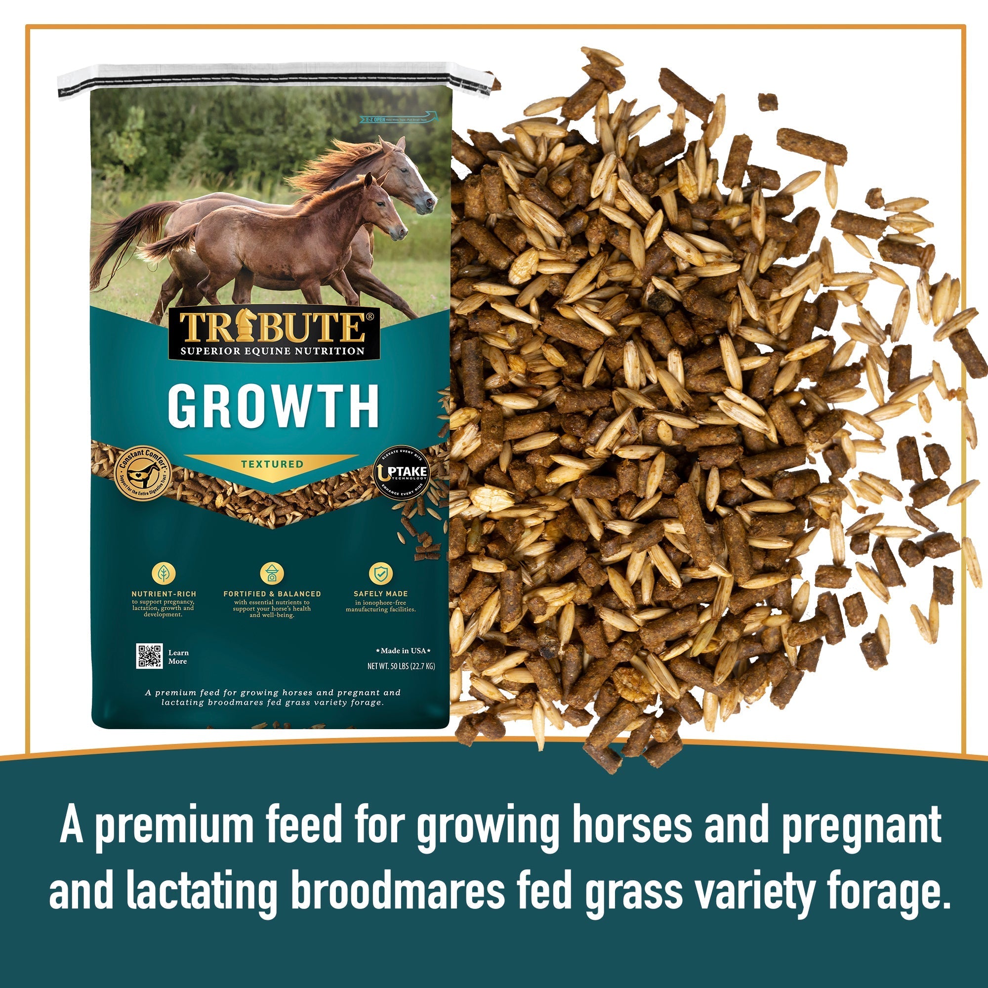Tribute Growth Textured feed close-up showing textured oats and pellets