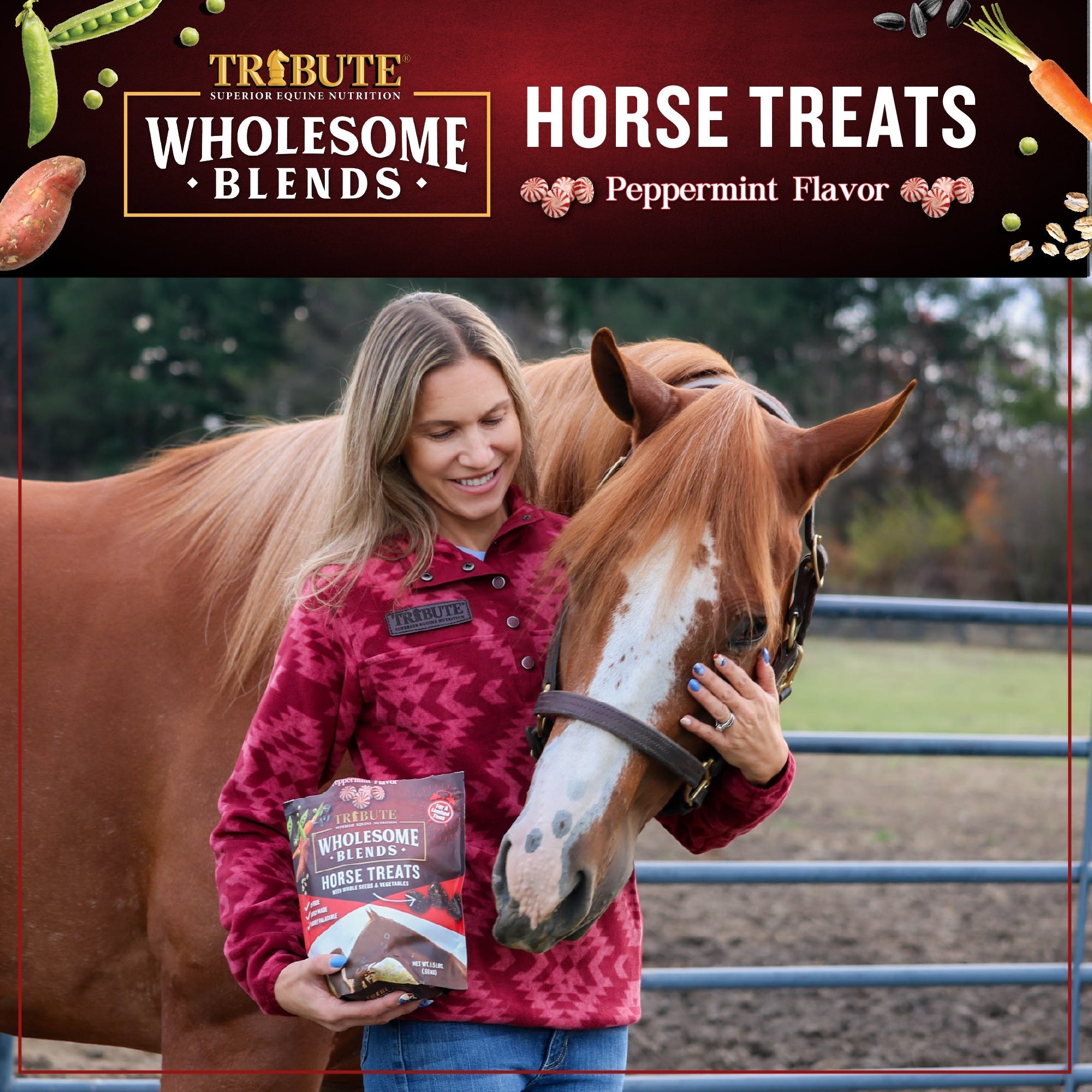 Horse owner sharing Tribute Peppermint Wholesome Blends Horse Treats with her horse