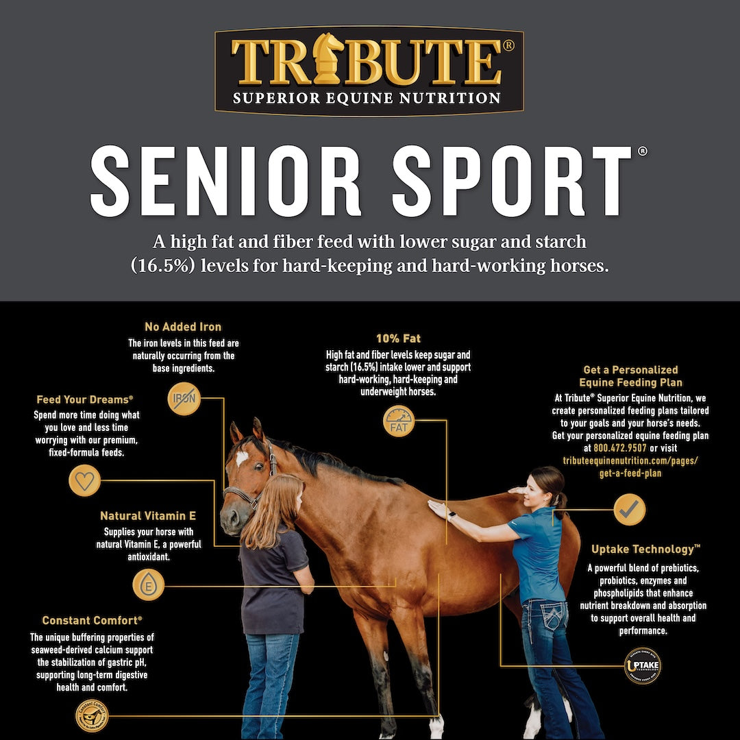 Tribute Senior Sport benefits infographic: no added iron, natural vitamin E, Constant Comfort and Uptake Technology