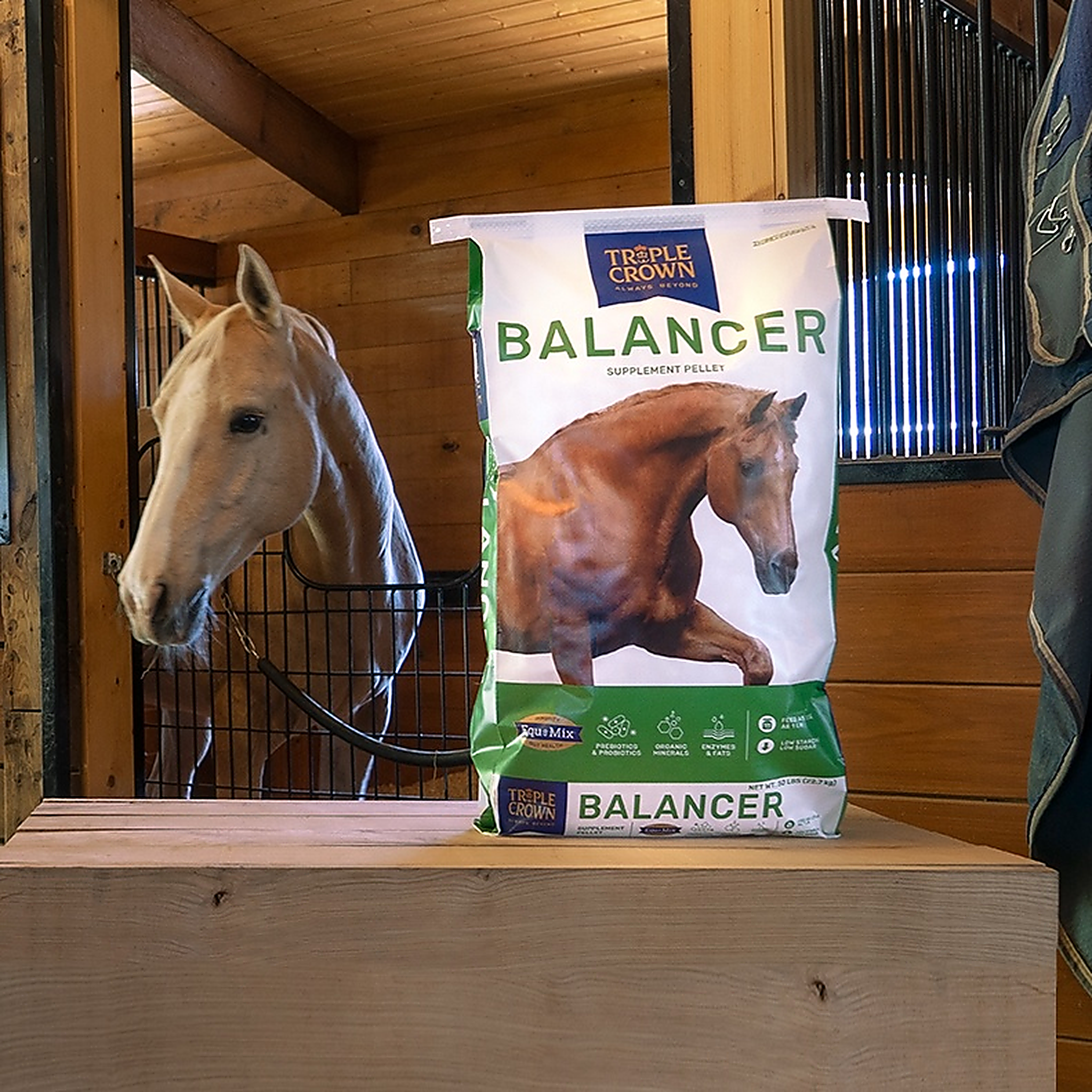 Triple Crown Balancer 50 lb bag on a barn bench beside a palomino horse in its stall
