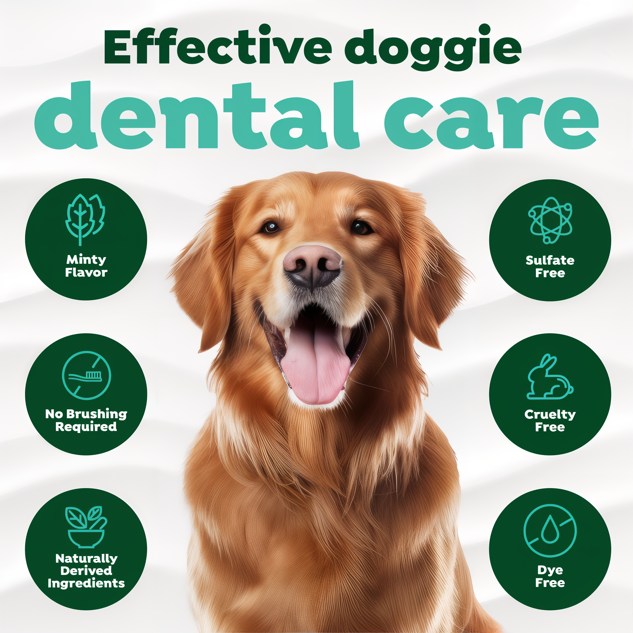 Effective dental care with features in green circles.