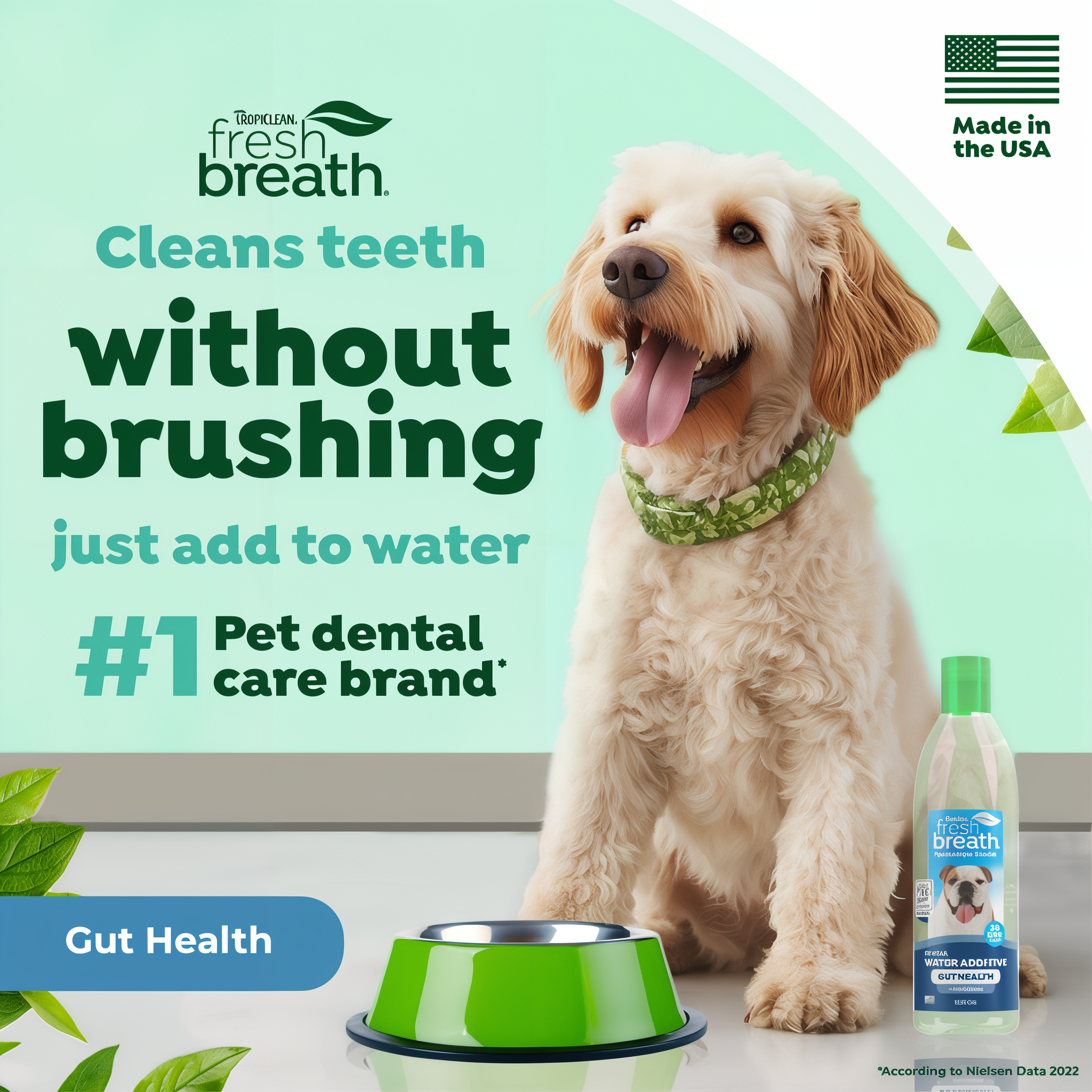 Dog sitting next to a bottle of TropiClean Fresh Breath Dental Water Additive Plus Gut Health for Dogs with text about dental care.