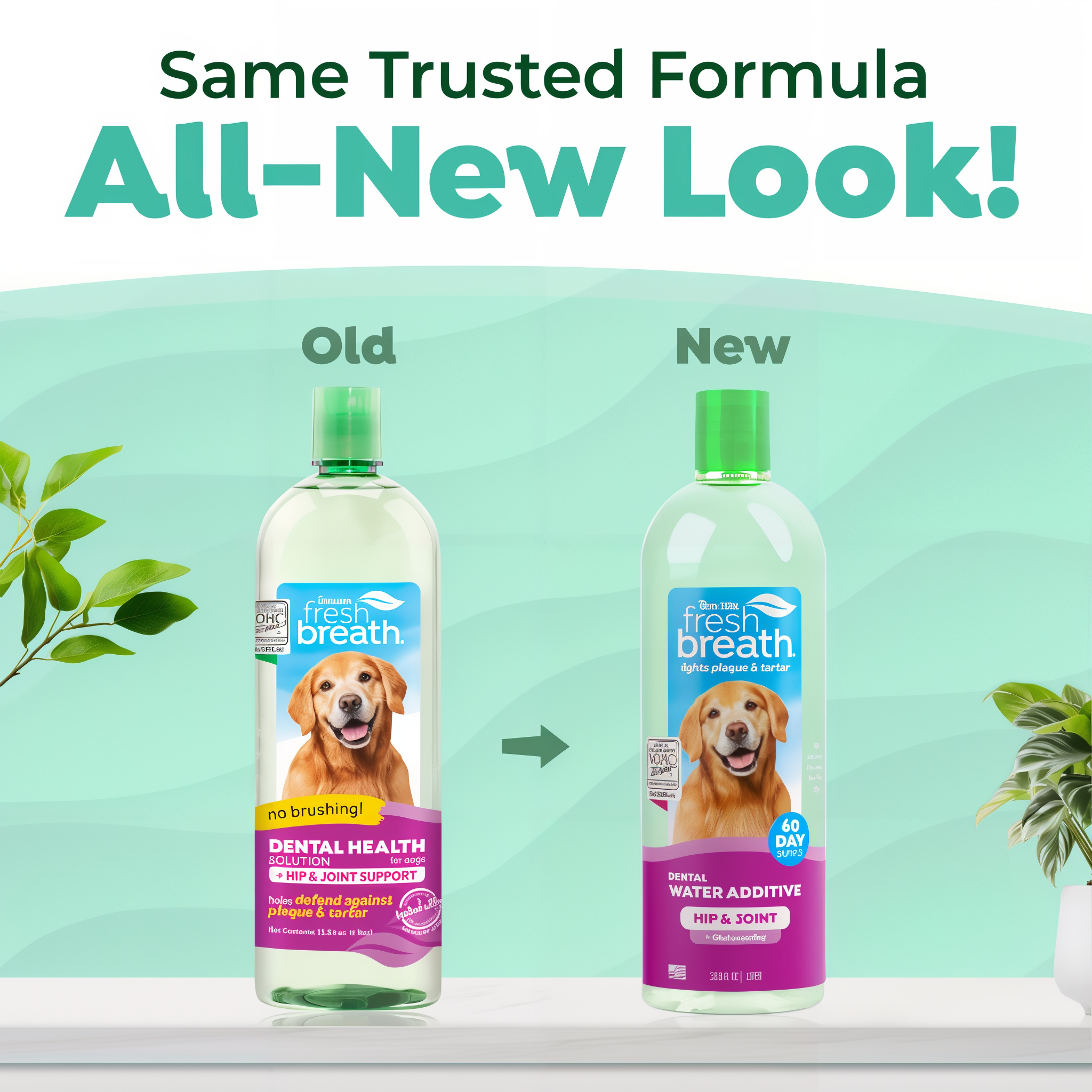 Two bottles of Fresh Breath by TropiClean Oral Care Water Additive Plus Hip & Joint for Pets product with a green background, showing 'Old' and 'New' labels.