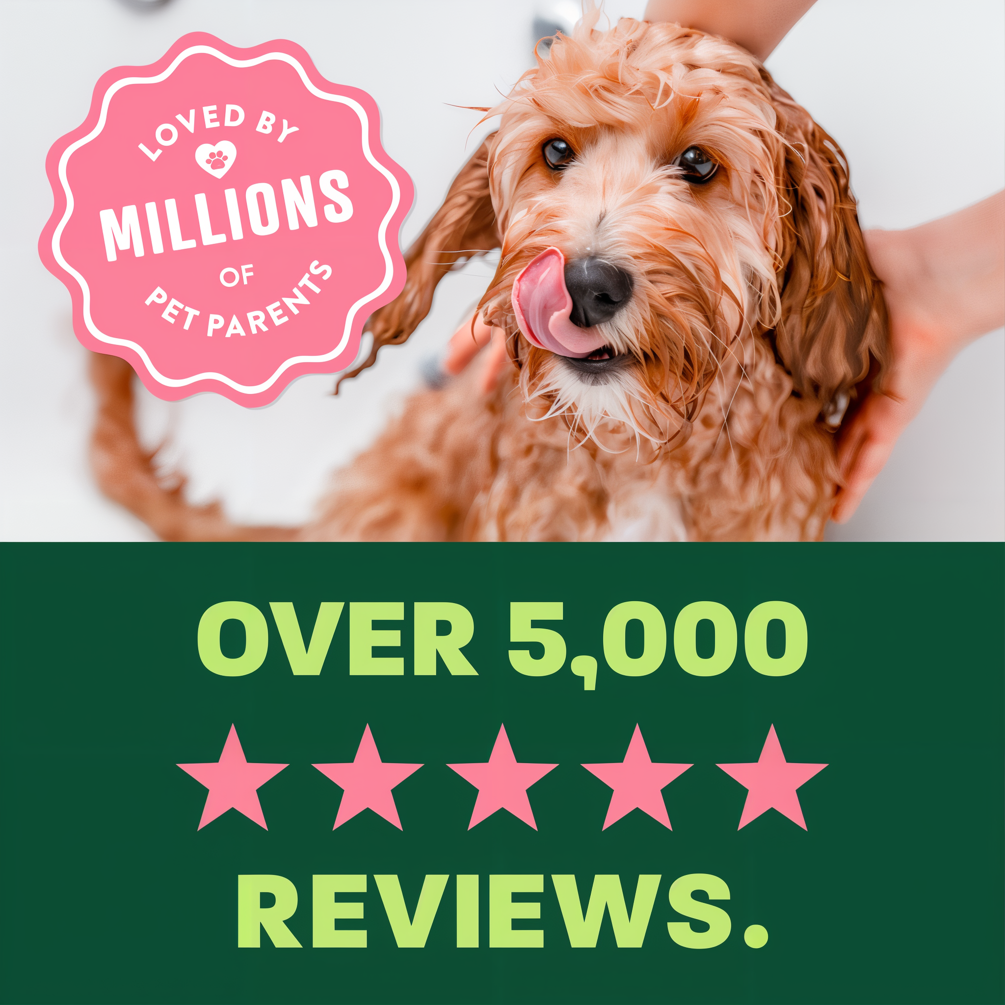 light green and green background, "Loved by millions" 5 star reviews.