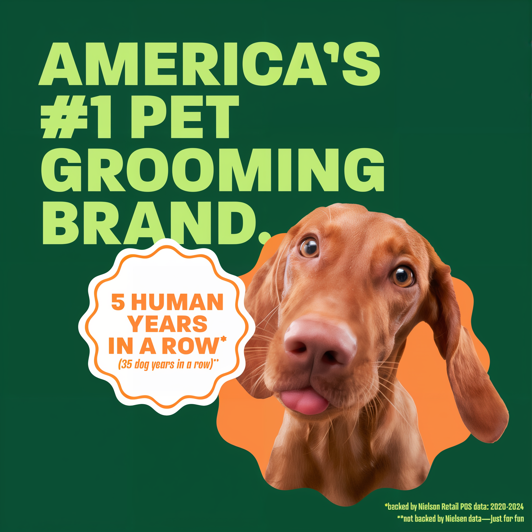 Vizsla head popping out. Text, "Americans 1 Pet grooming brand".
