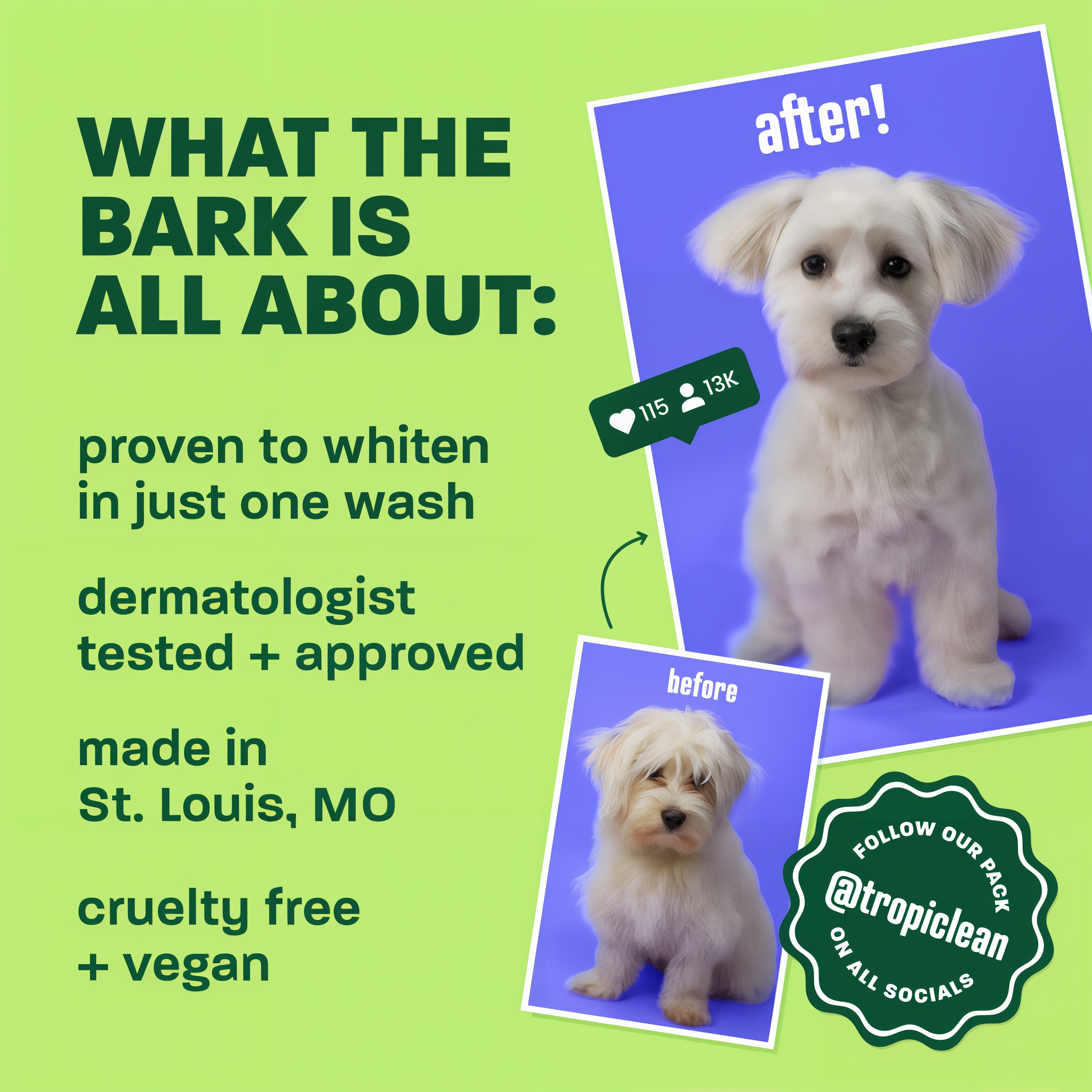 Light green background, white dog before & after, "What the bark is all about".
