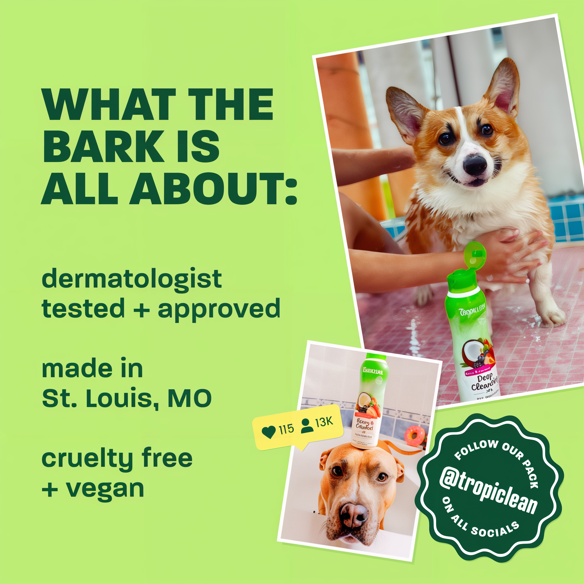 Dermatologist tested and approved, made in St. Louis, cruelty free and vegan panel
