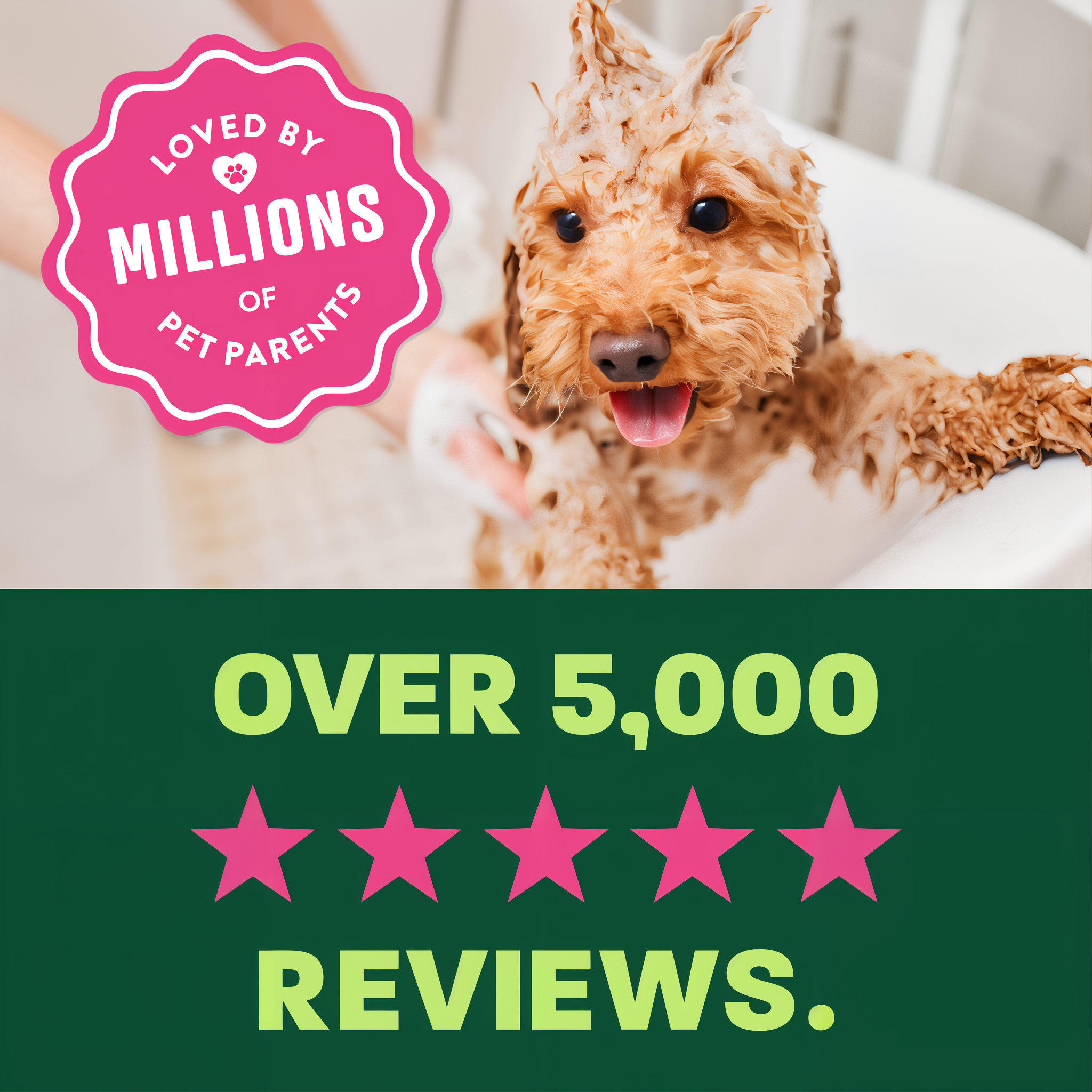 Loved by millions of pet parents with over 5000 five star reviews