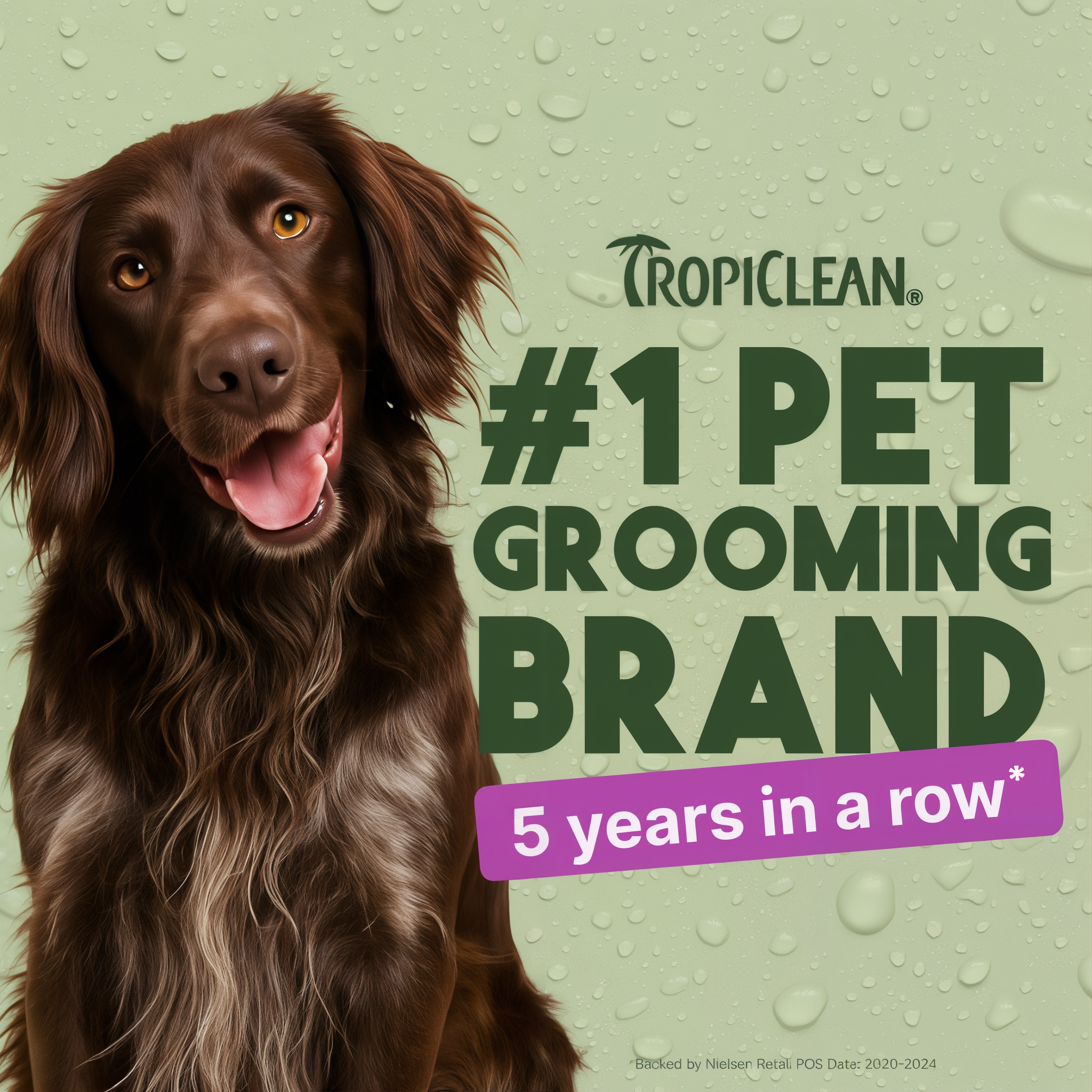 Brown dog with tongue out next to TropiClean Island Bloom tangle remover spray bottle on green background.