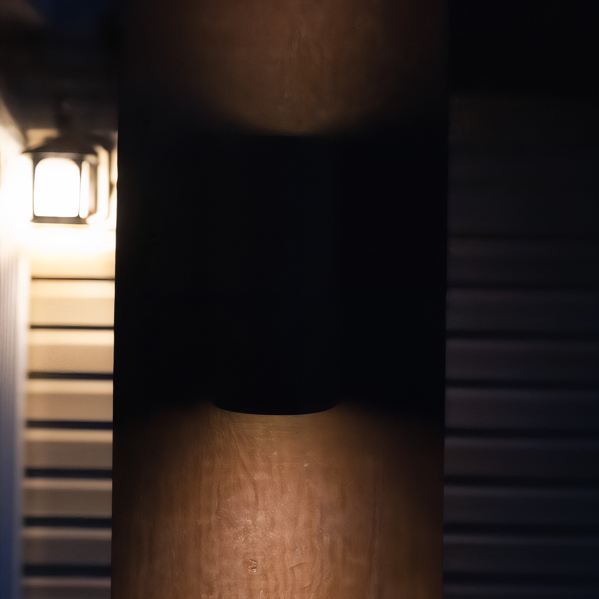 Tru-Scapes Dual Lamp Sconce Light TSS-AS201 — RGBCW color-changing landscape feature