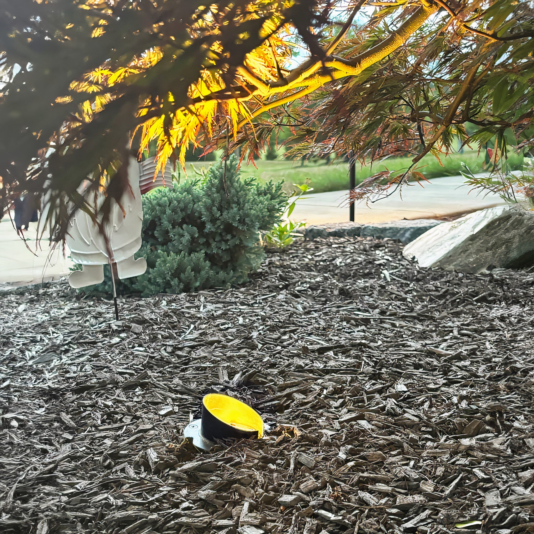 Tru-Scapes Sealed In-Ground Well Light TS-B203 — installed flush in landscape bed, 2700K uplight on tree