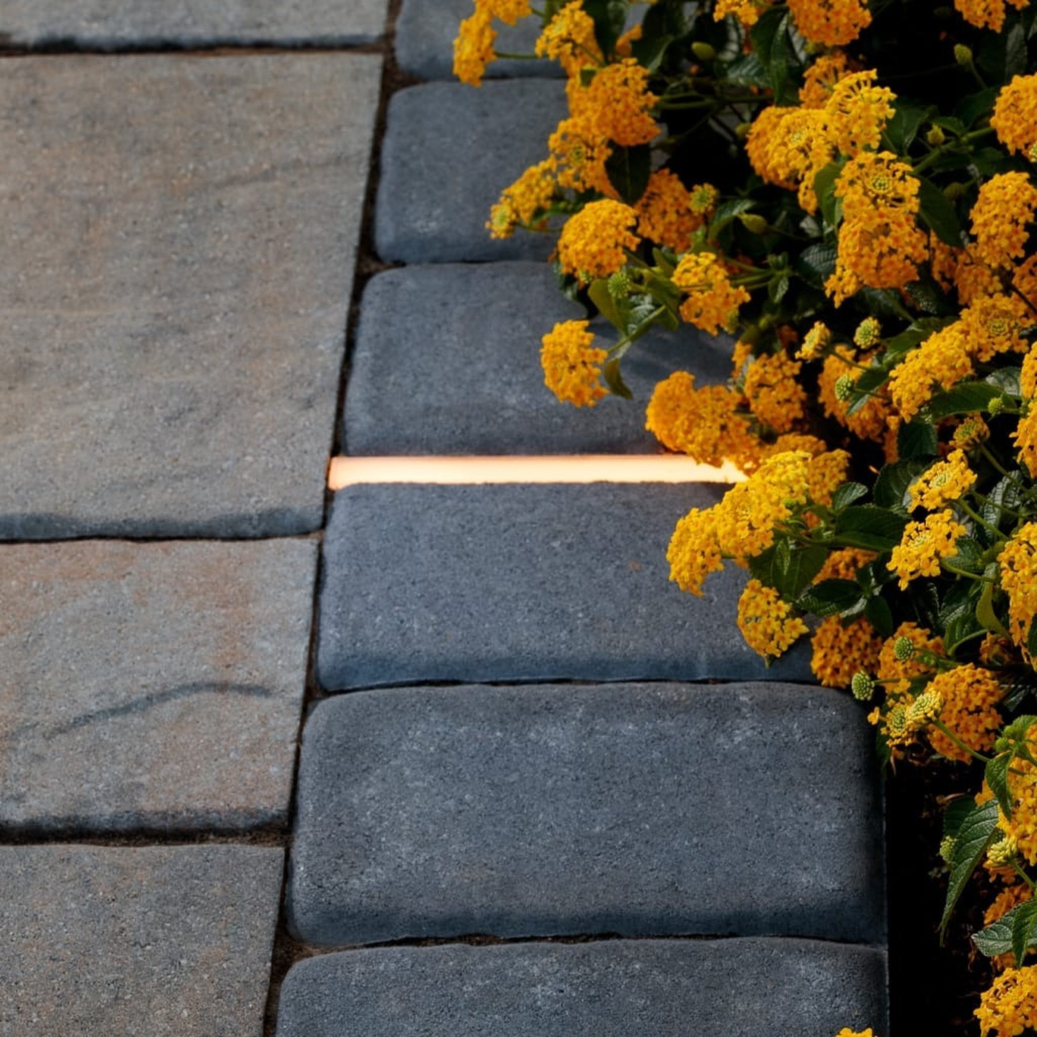 Tru-Scapes Traditional Paver Light HPL Series — 2700K warm white output along a paver border