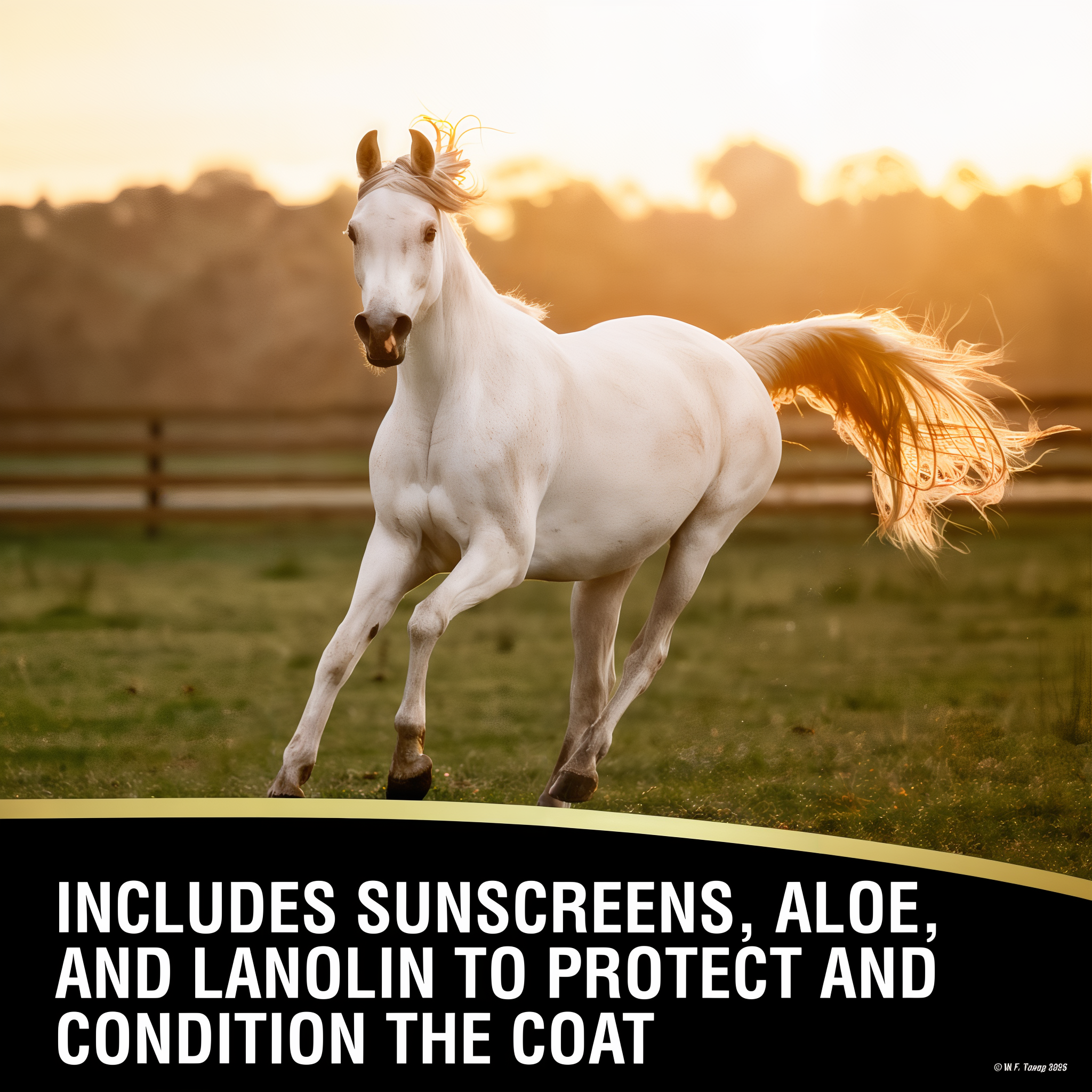 UltraShield EX insecticide and repellent, includes sunscreens, aloe and lanolin