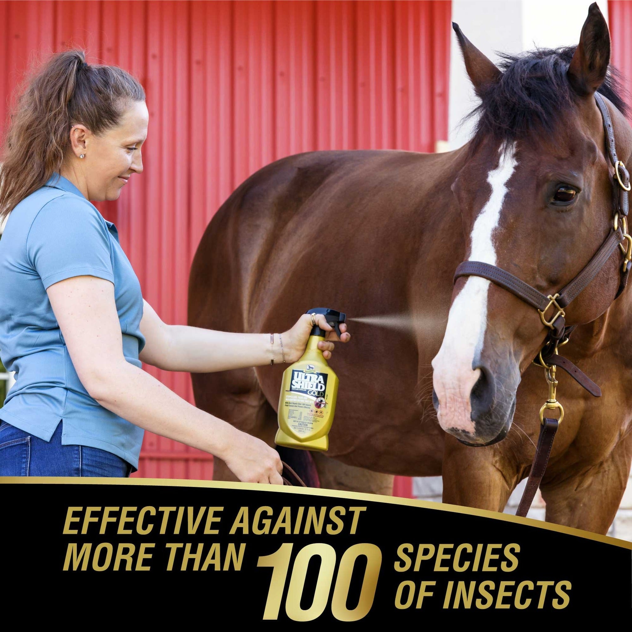 UltraShield Gold insecticide and repellent, sprayed on a horse