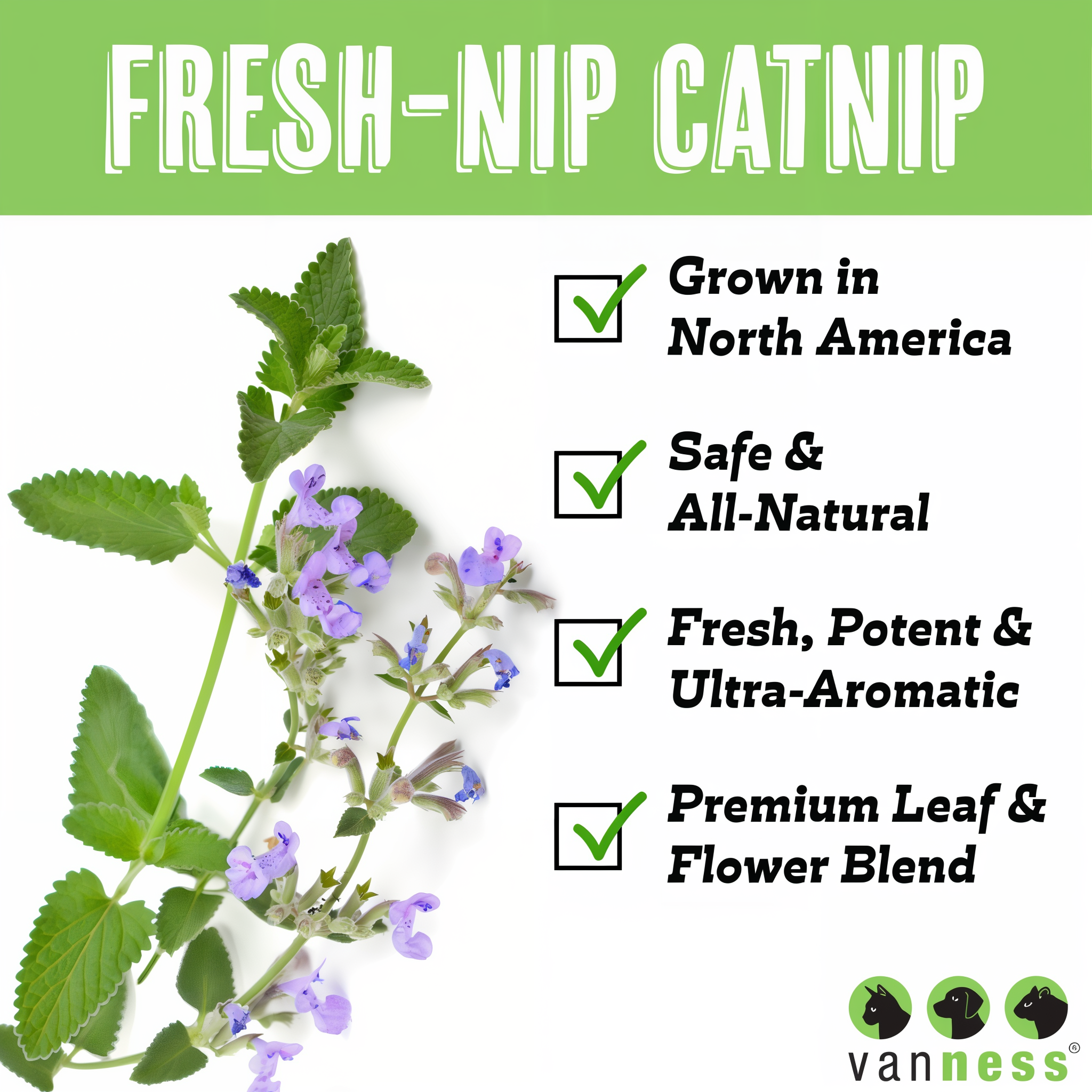 Fresh-Nip catnip grown in North America, safe and all-natural, fresh potent and ultra-aromatic premium leaf and flower blend