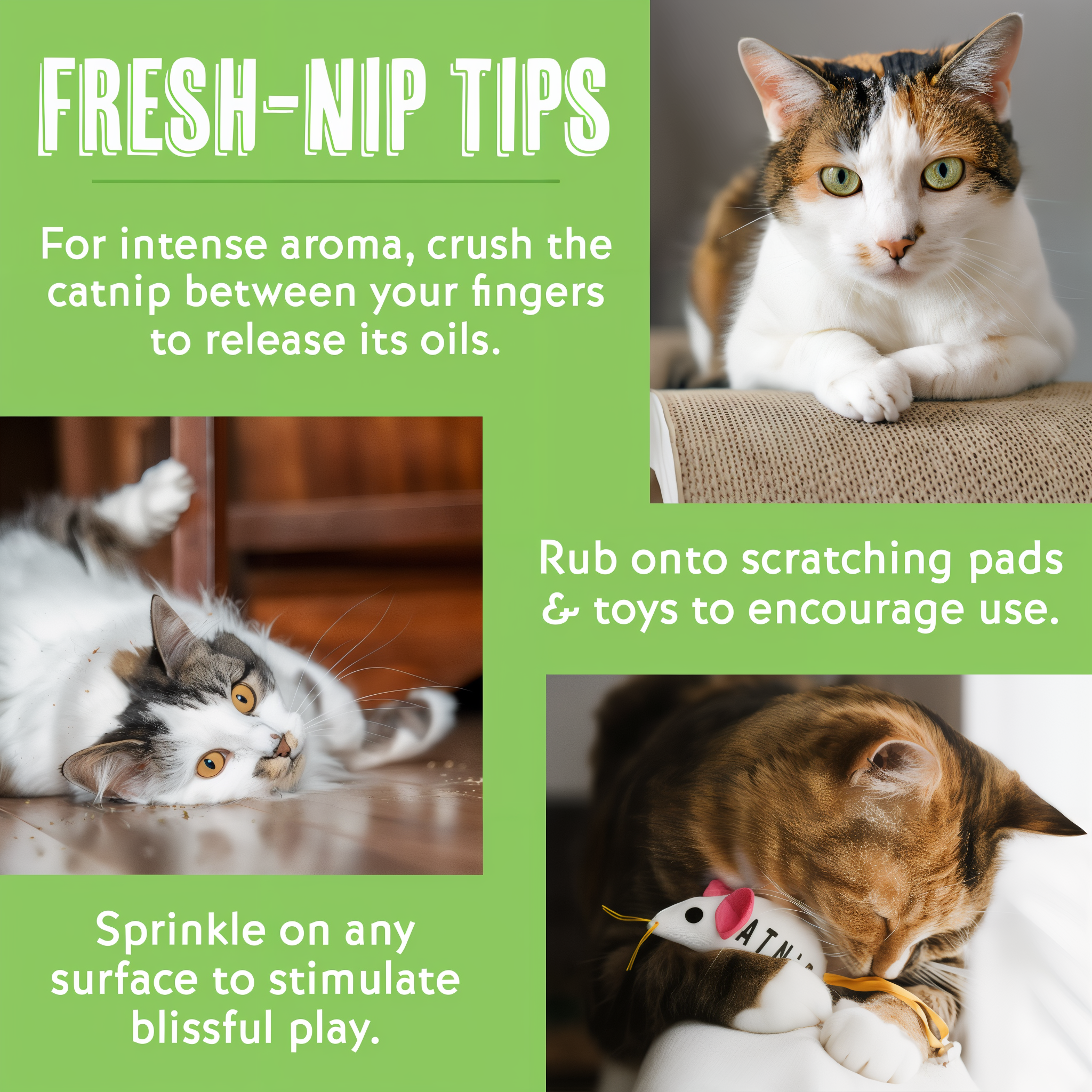 Fresh-Nip tips: crush catnip to release oils, rub onto scratching pads and toys, sprinkle on any surface for play