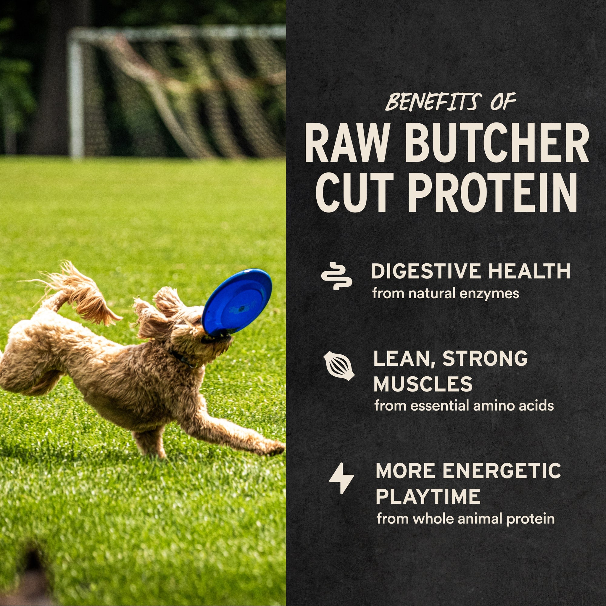 Benefits of raw butcher cut protein for dogs