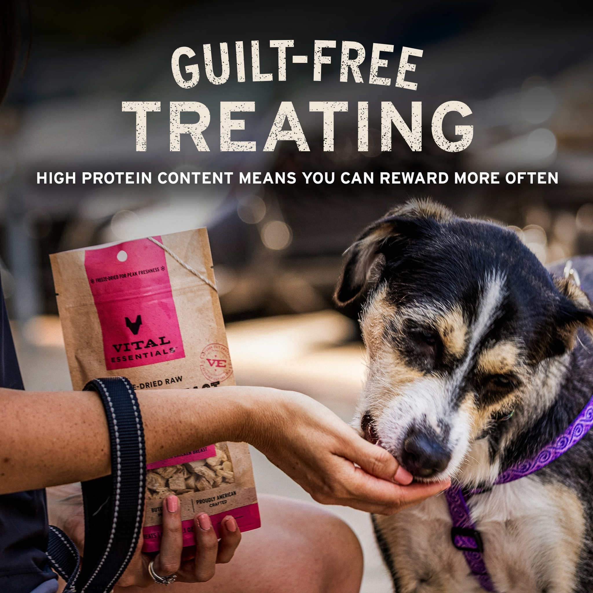 Guilt-free treating with low-calorie single-ingredient freeze-dried treats