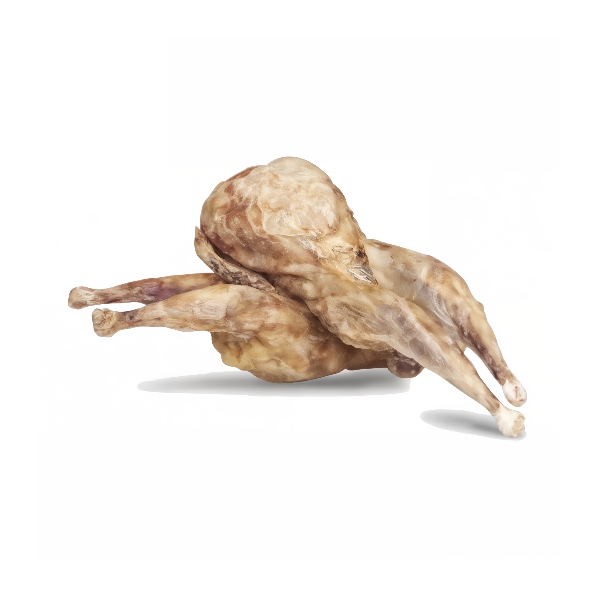 Vital Essentials freeze-dried raw whole quail dog treats